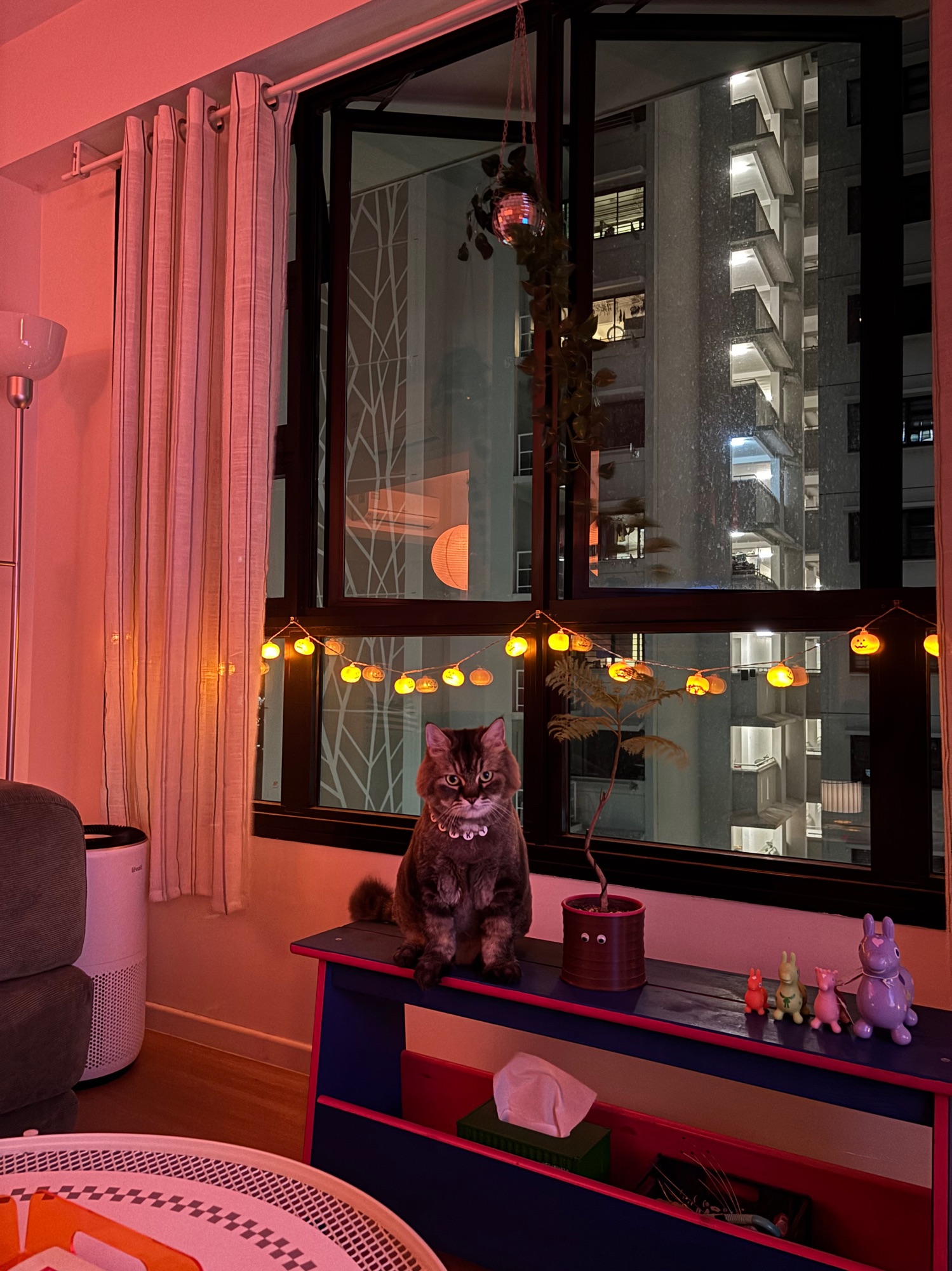 BOO Season 11! 👻🎃