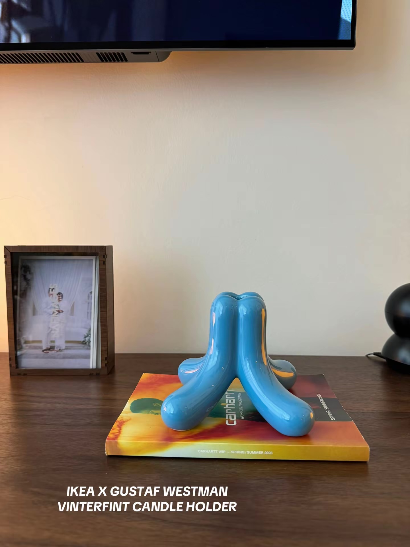 our current fav home decor pieces and a special guest at the end 🐾