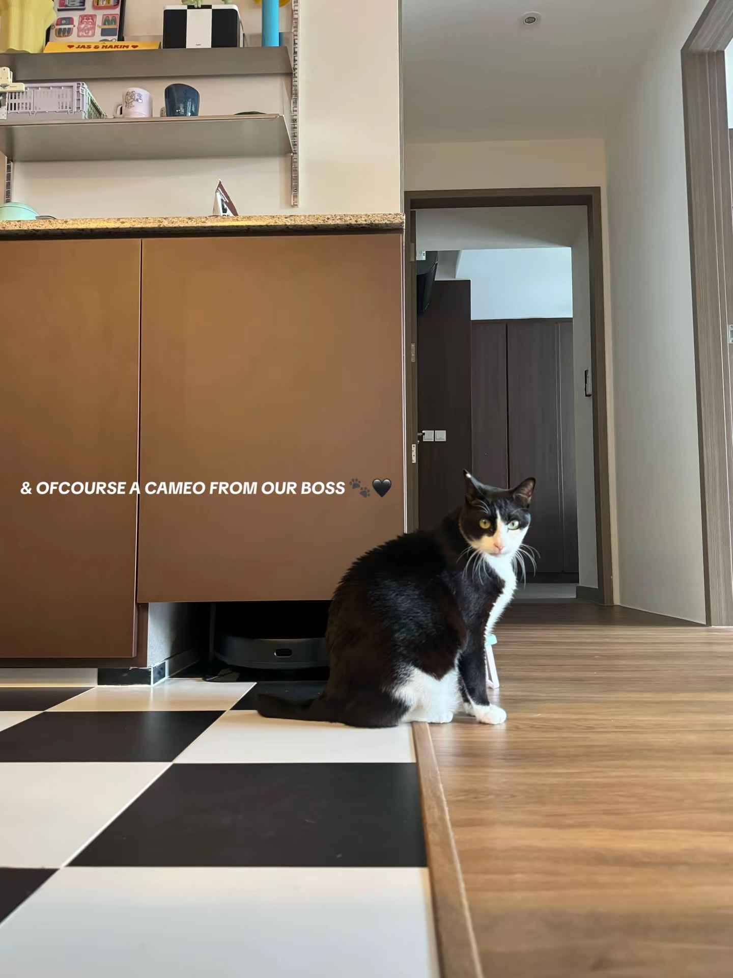 our current fav home decor pieces and a special guest at the end 🐾