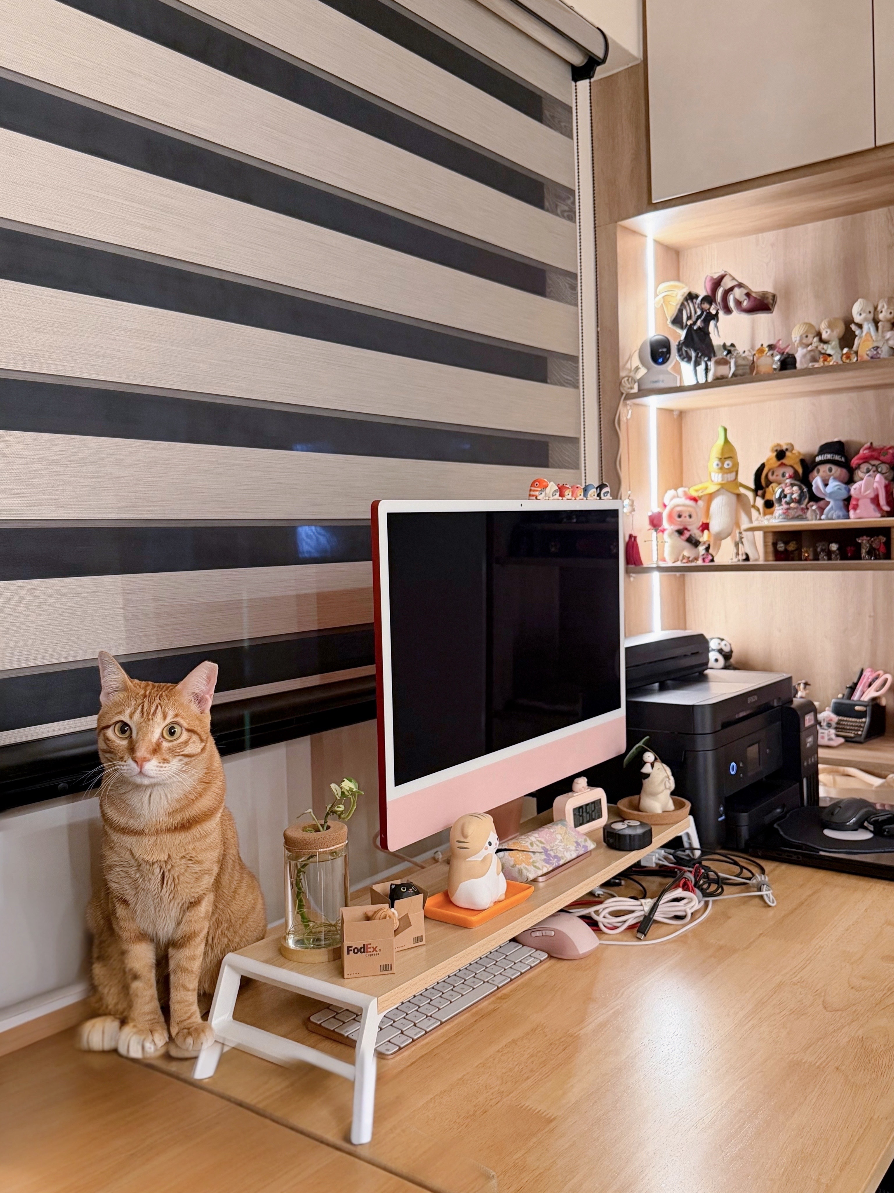 A workspace that works for two (plus two cats)