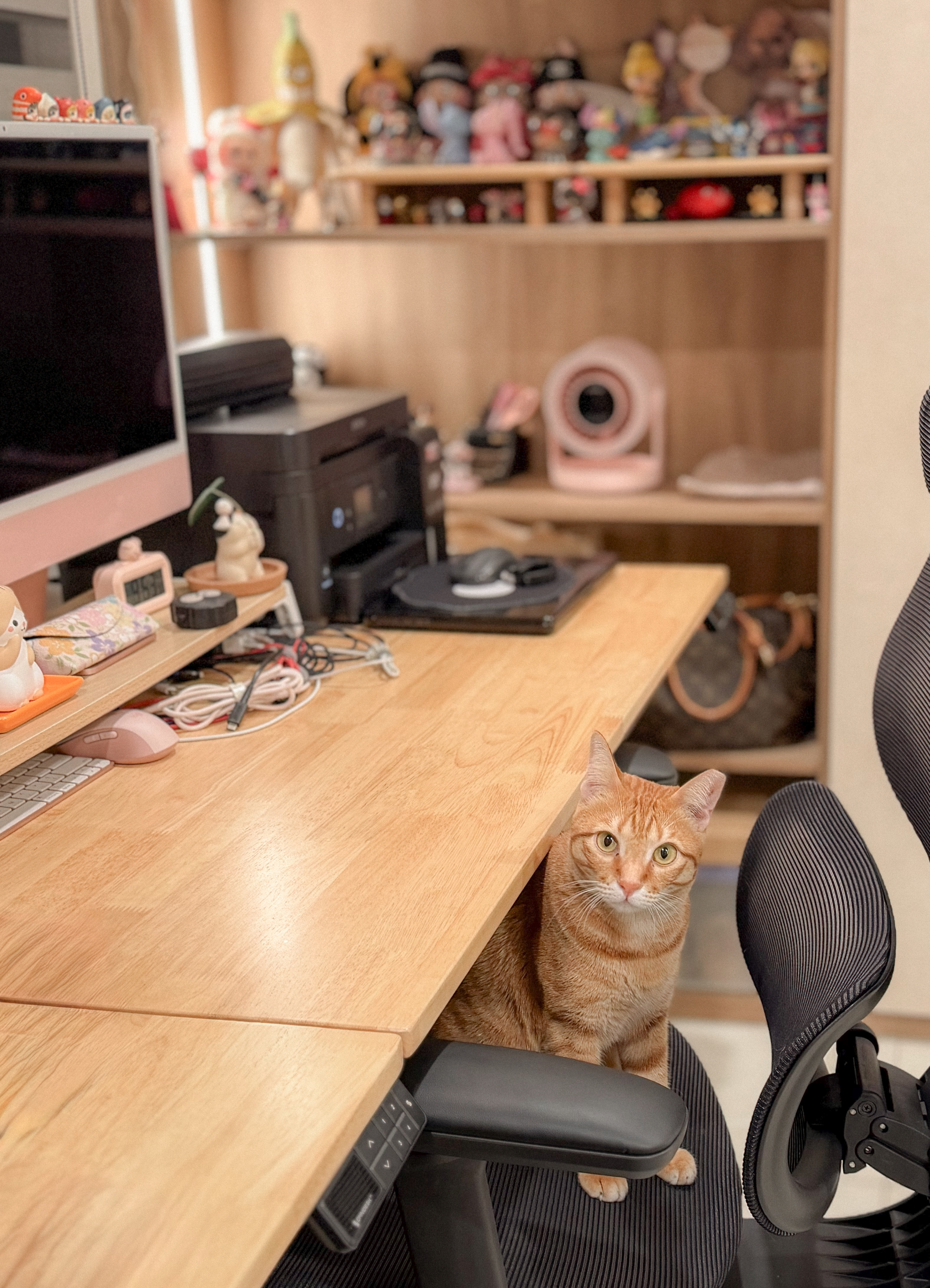 A workspace that works for two (plus two cats)