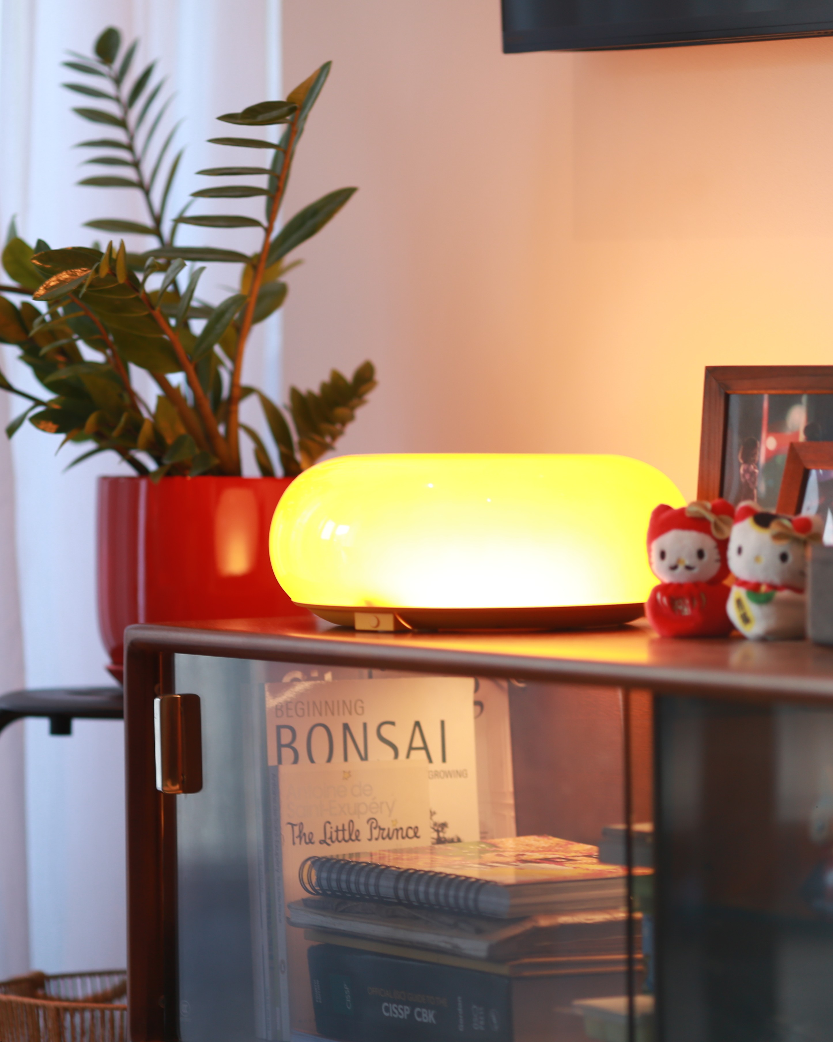 A-Few-of-Our-First-Lamps-💡