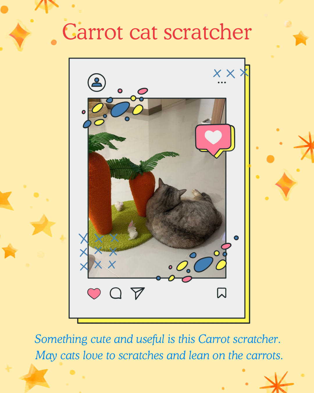 Top 5 favourite cat things