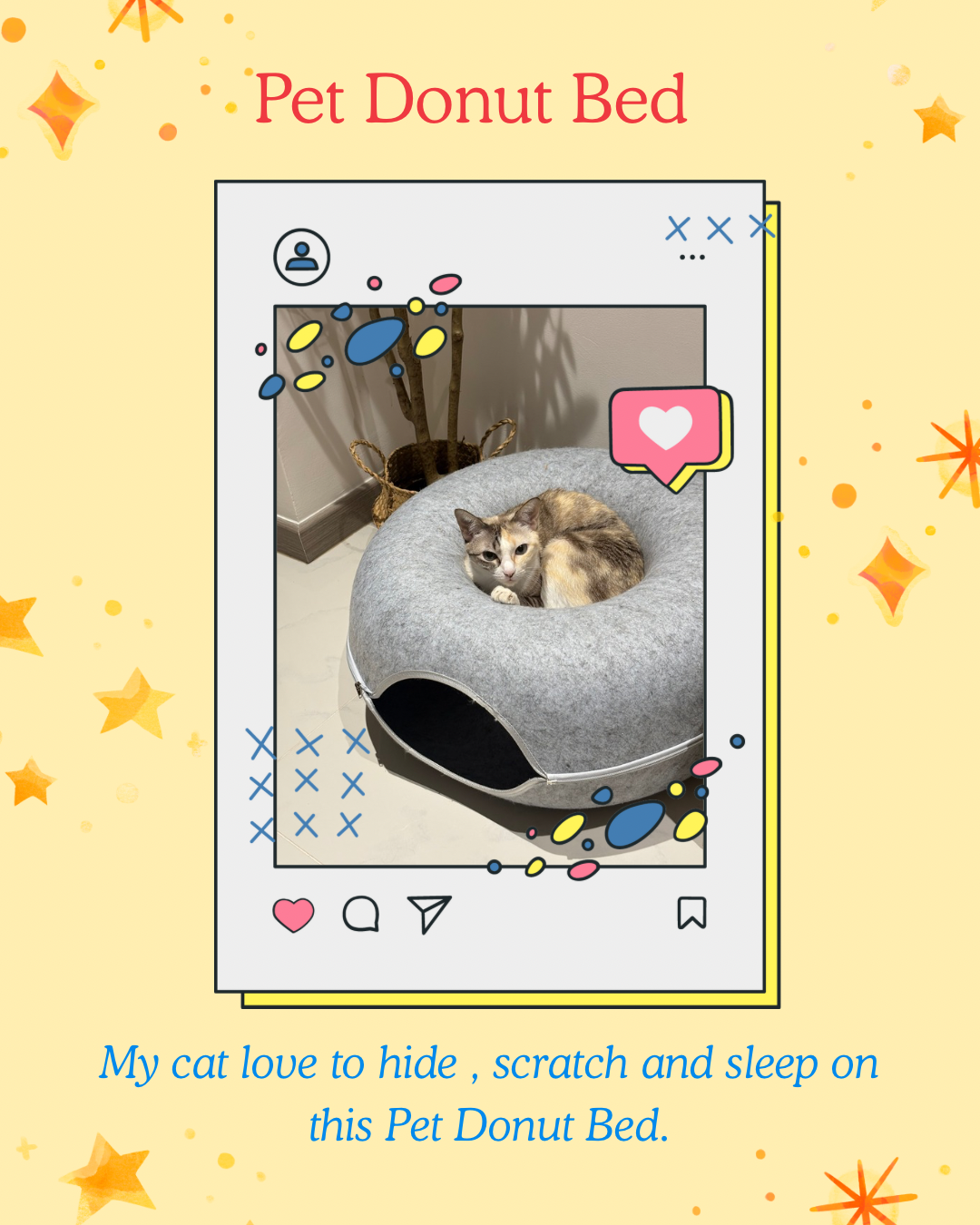 Top 5 favourite cat things