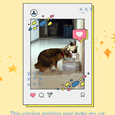 Customer home photo 1: Top 5 favourite cat things