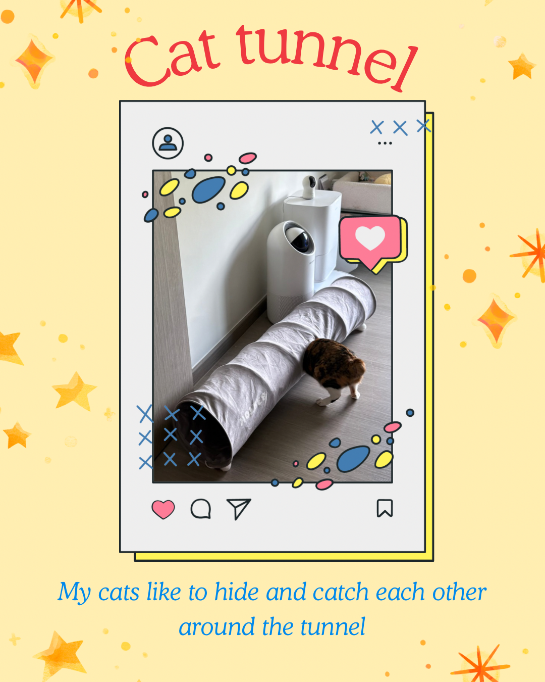 Top 5 favourite cat things