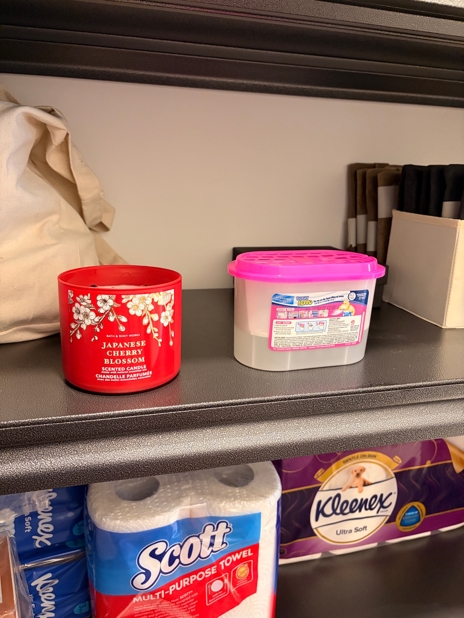 6 tips for a clutter free bomb shelter / storeroom! 💣🚪