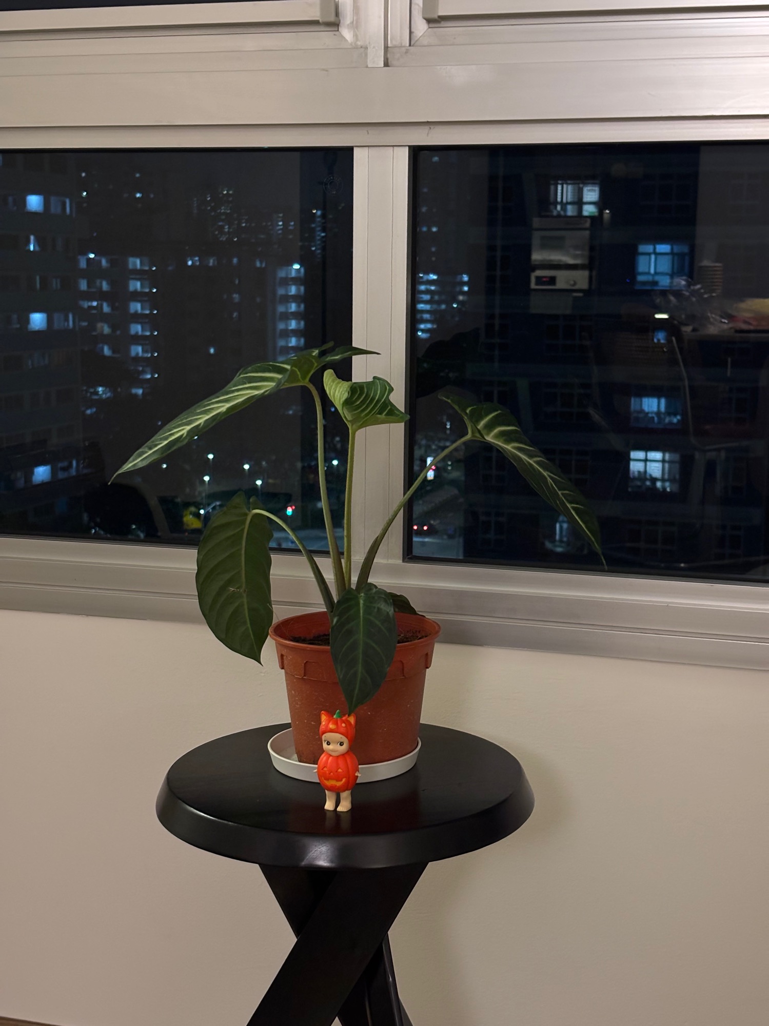 welcome to our cozy abode | xhs inspired 4rm bto | @home.with.nicky