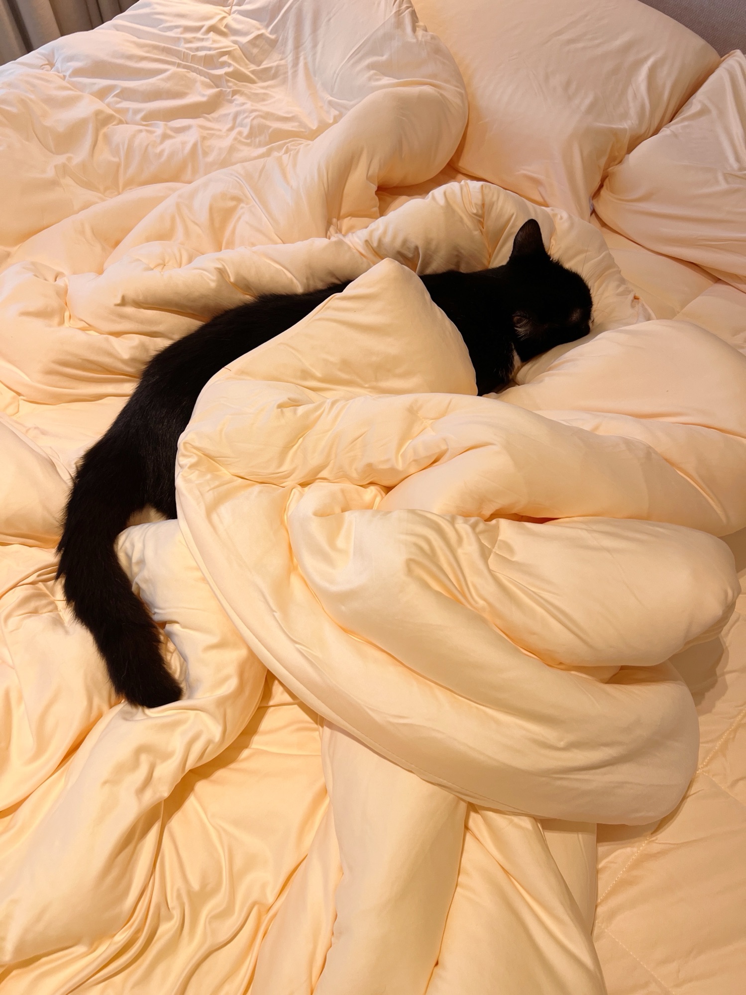 Best way to spend a day off ☁️🧈