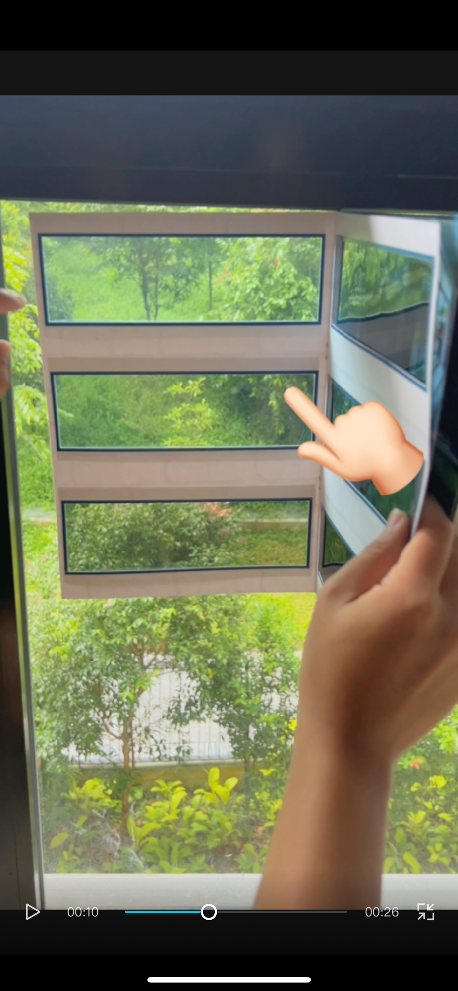 🌞 Did you know that cats can get sunburnt too?