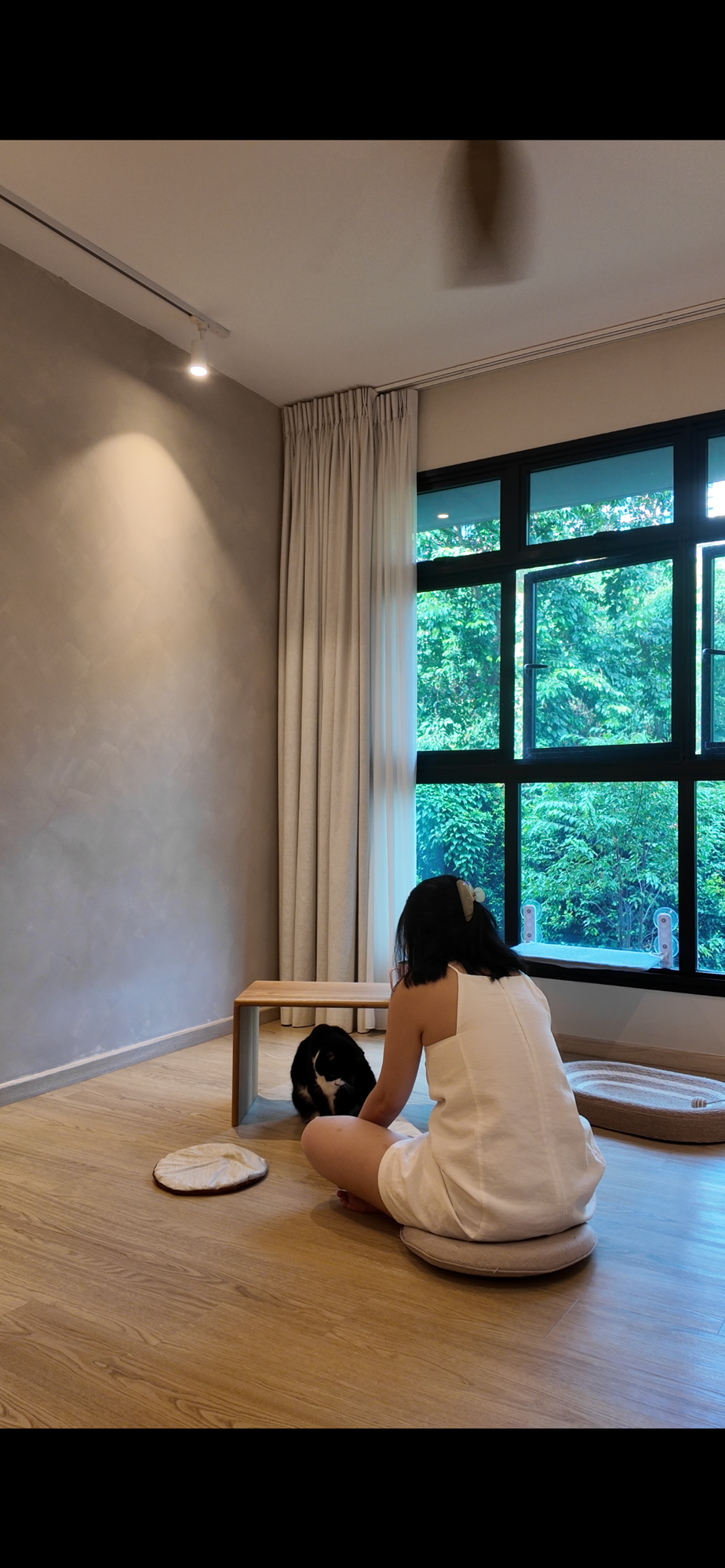 🌞 Did you know that cats can get sunburnt too?