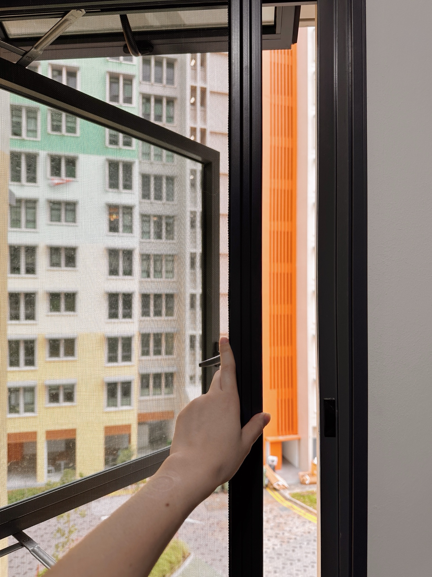 Taobao Insect Mesh—Pros & Cons