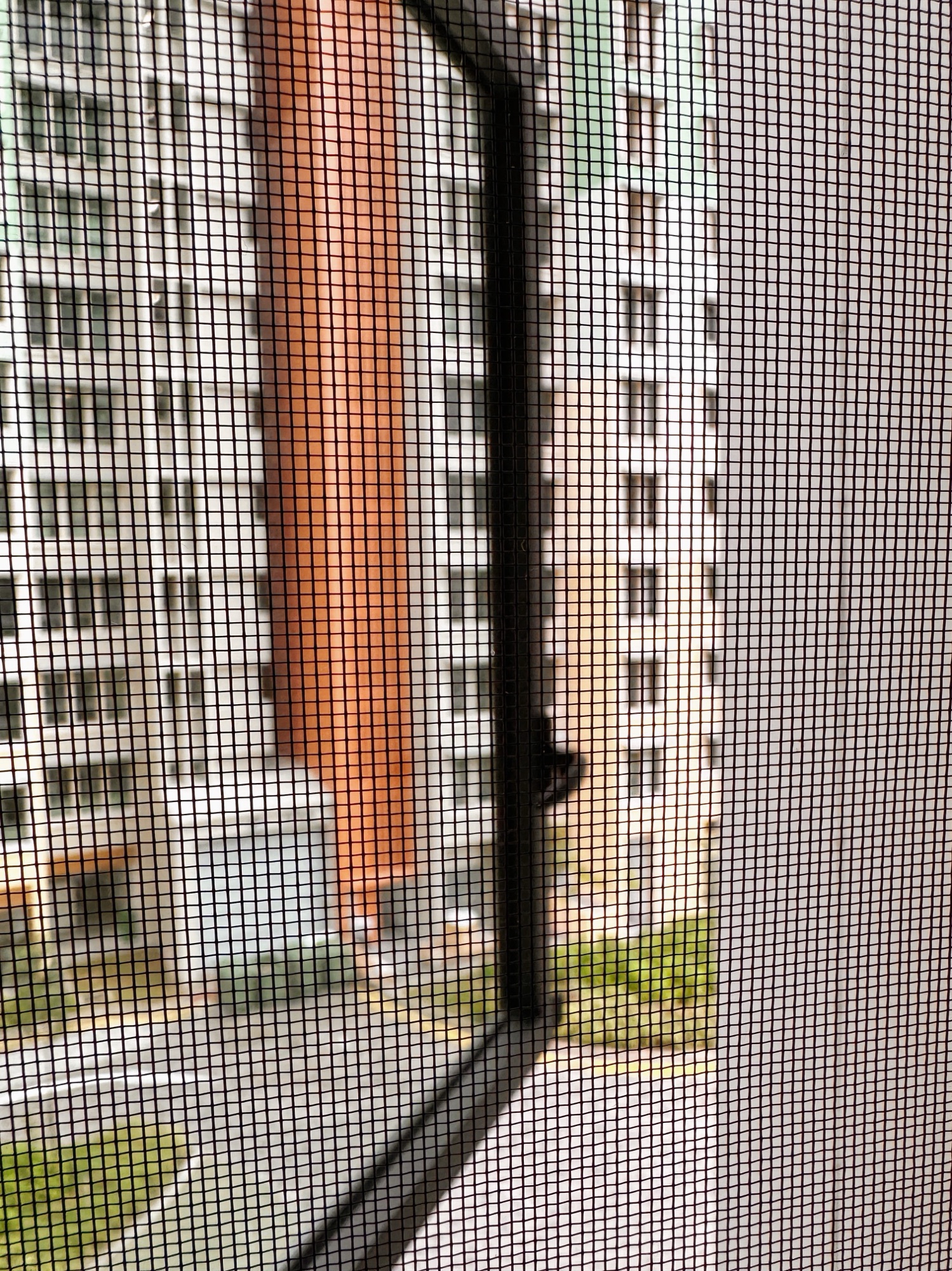 Taobao Insect Mesh—Pros & Cons