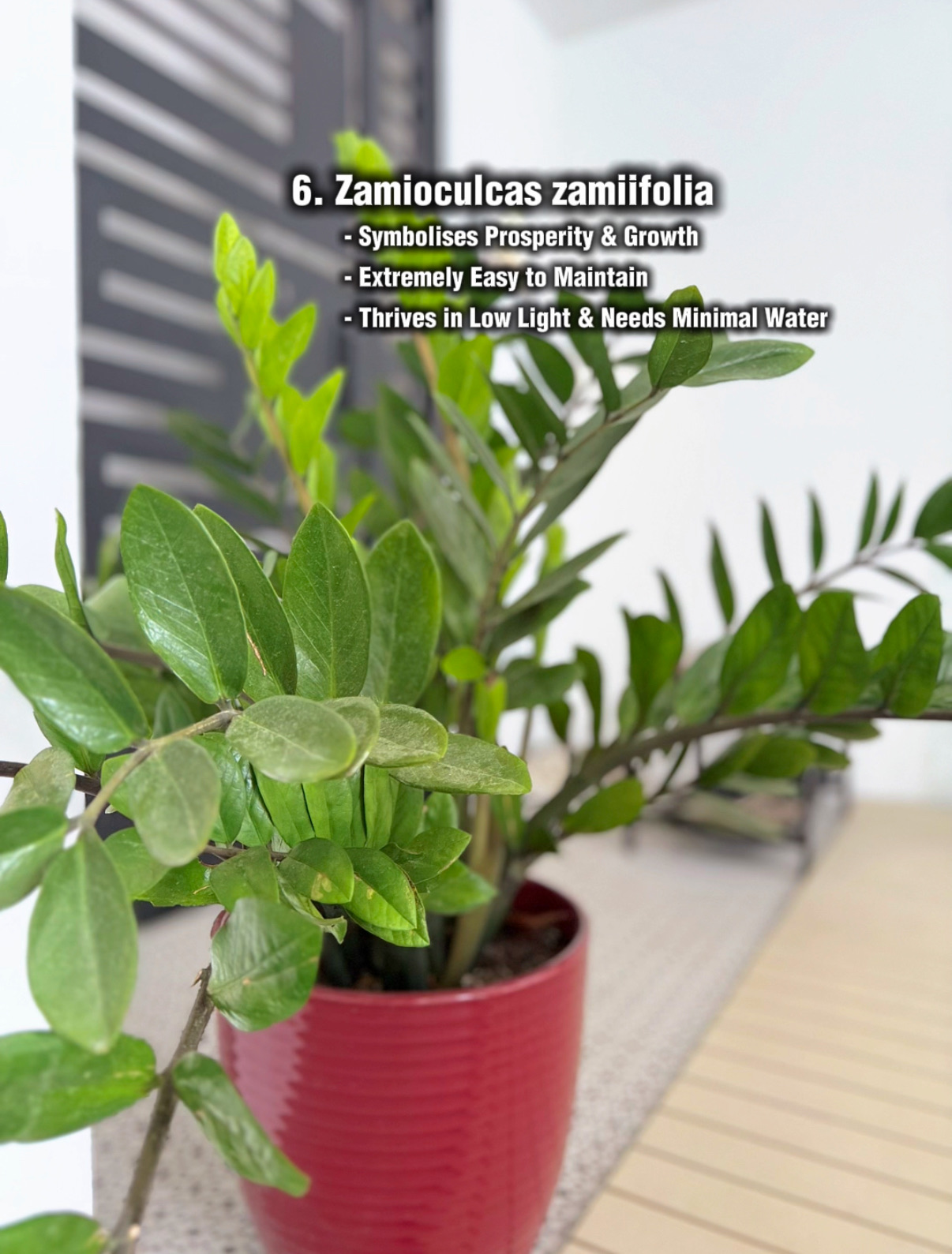 Sprucing up our front porch with functional & aesthetic buys 🤍✨ no