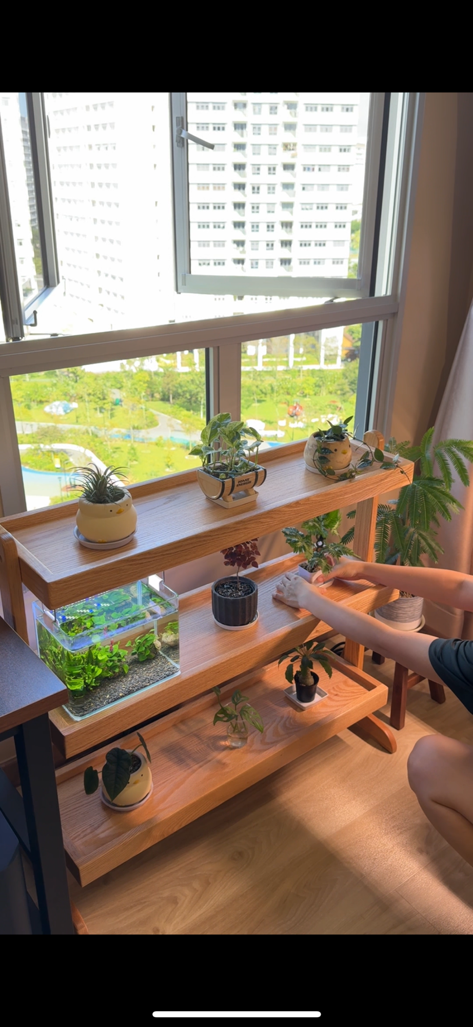 Renovation-Hits-and-Misses-You-Might-Have-Missed