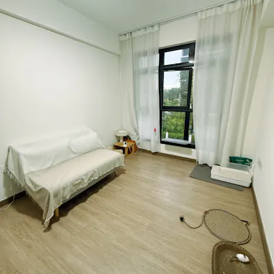 Customer home photo 1: Cat/Guest Room - Keeping it clean, simple and practical!