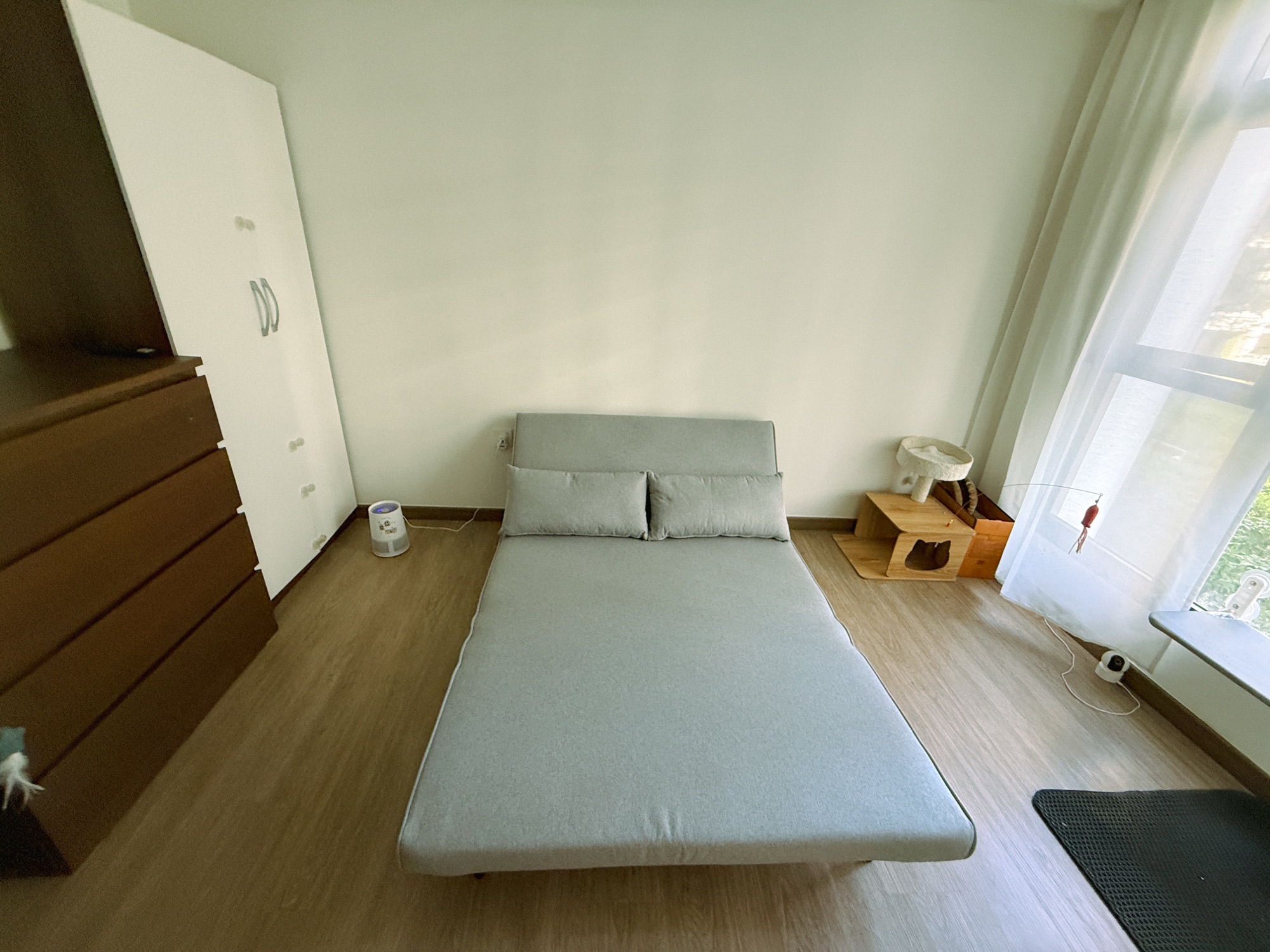 Cat/Guest Room - Keeping it clean, simple and practical!