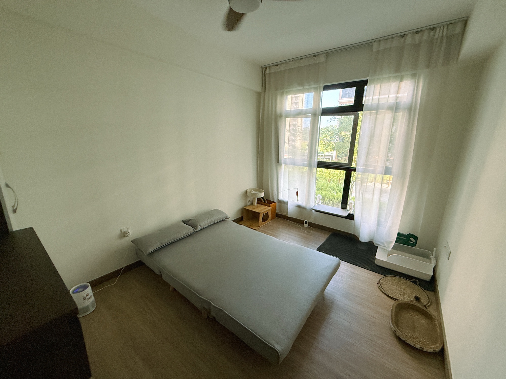 Cat/Guest Room - Keeping it clean, simple and practical!