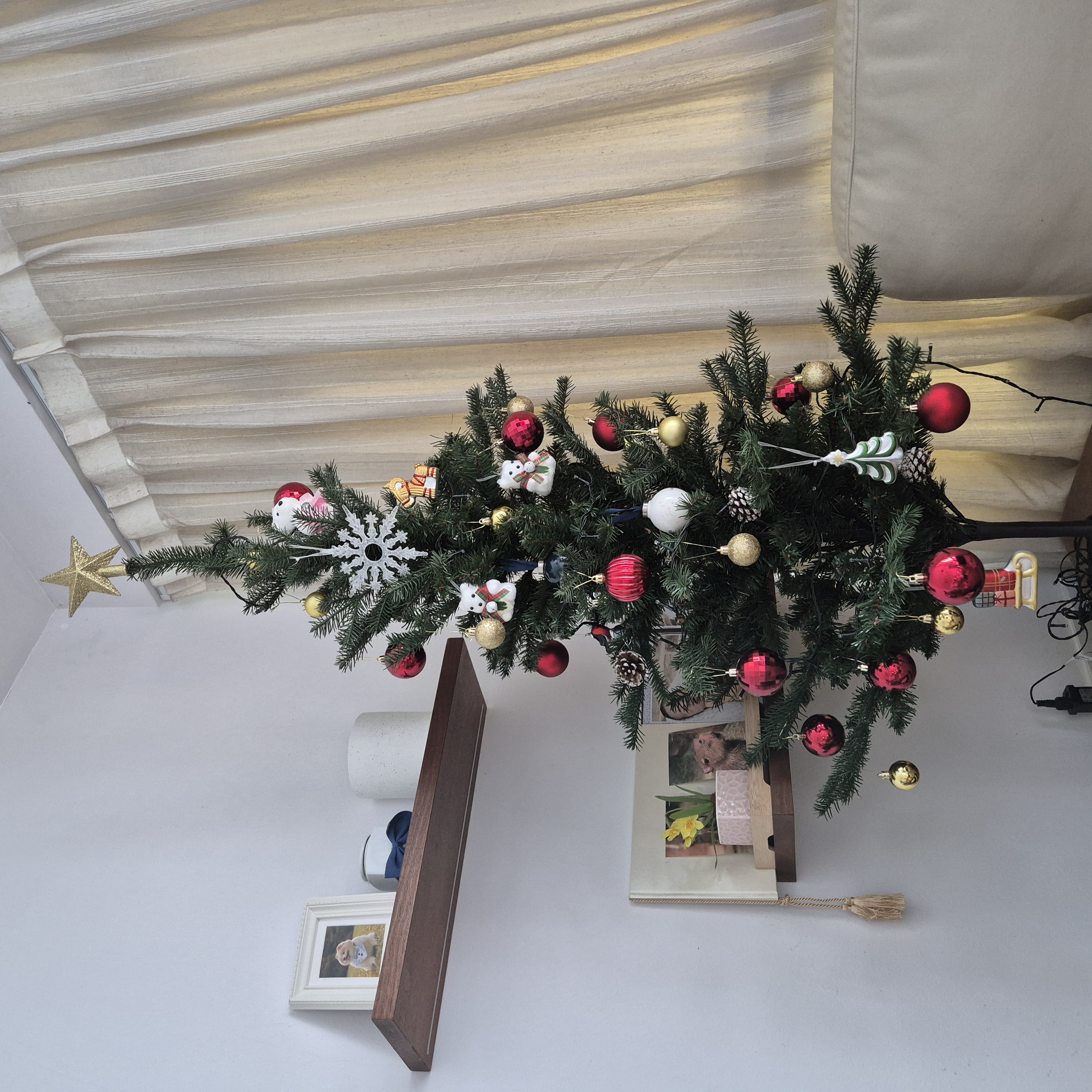 Christmas-season-2025