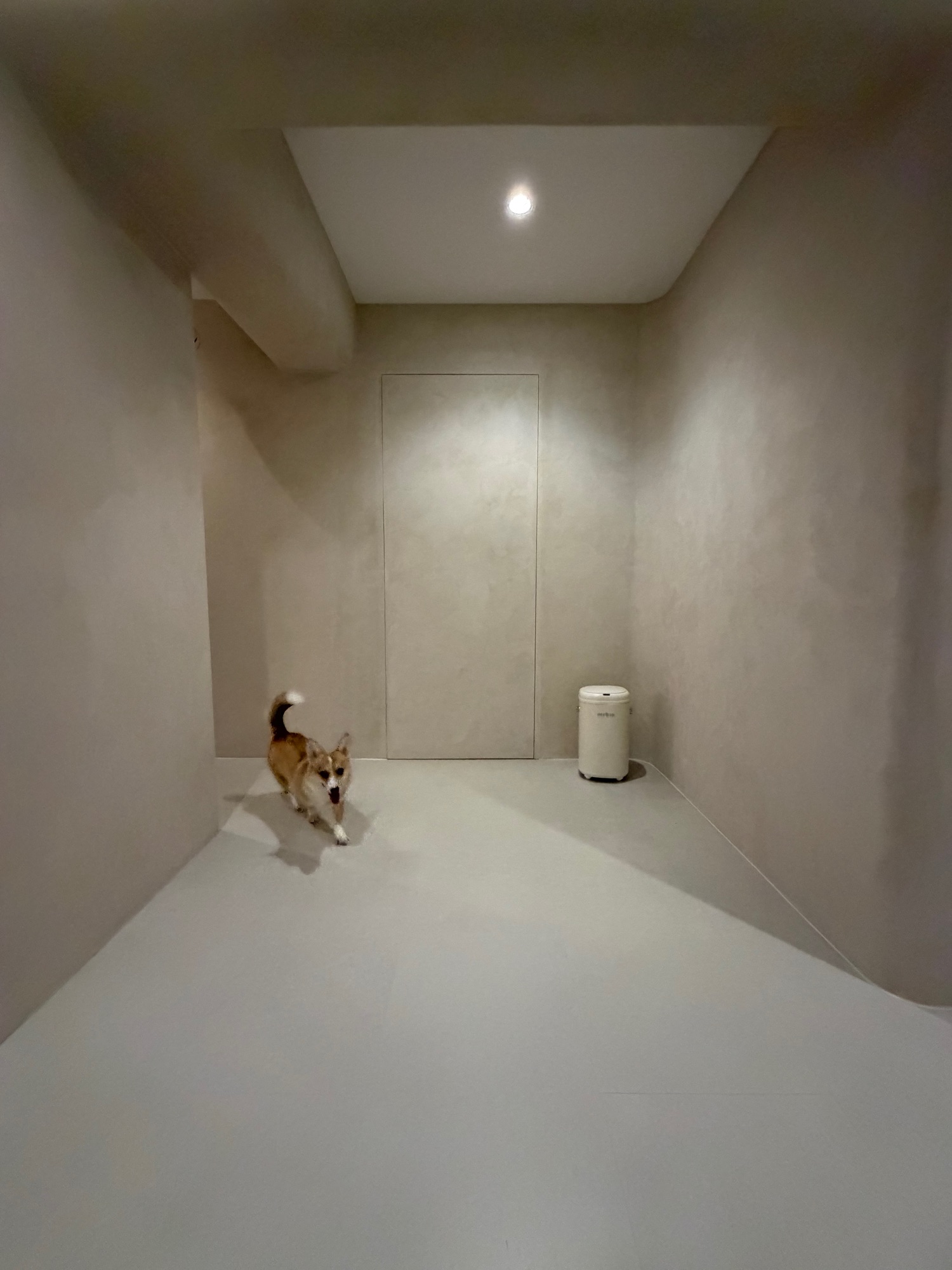 Tiny 3 Room BTO | Pure Smart Home | Wabi-Sabi | Full Limewash