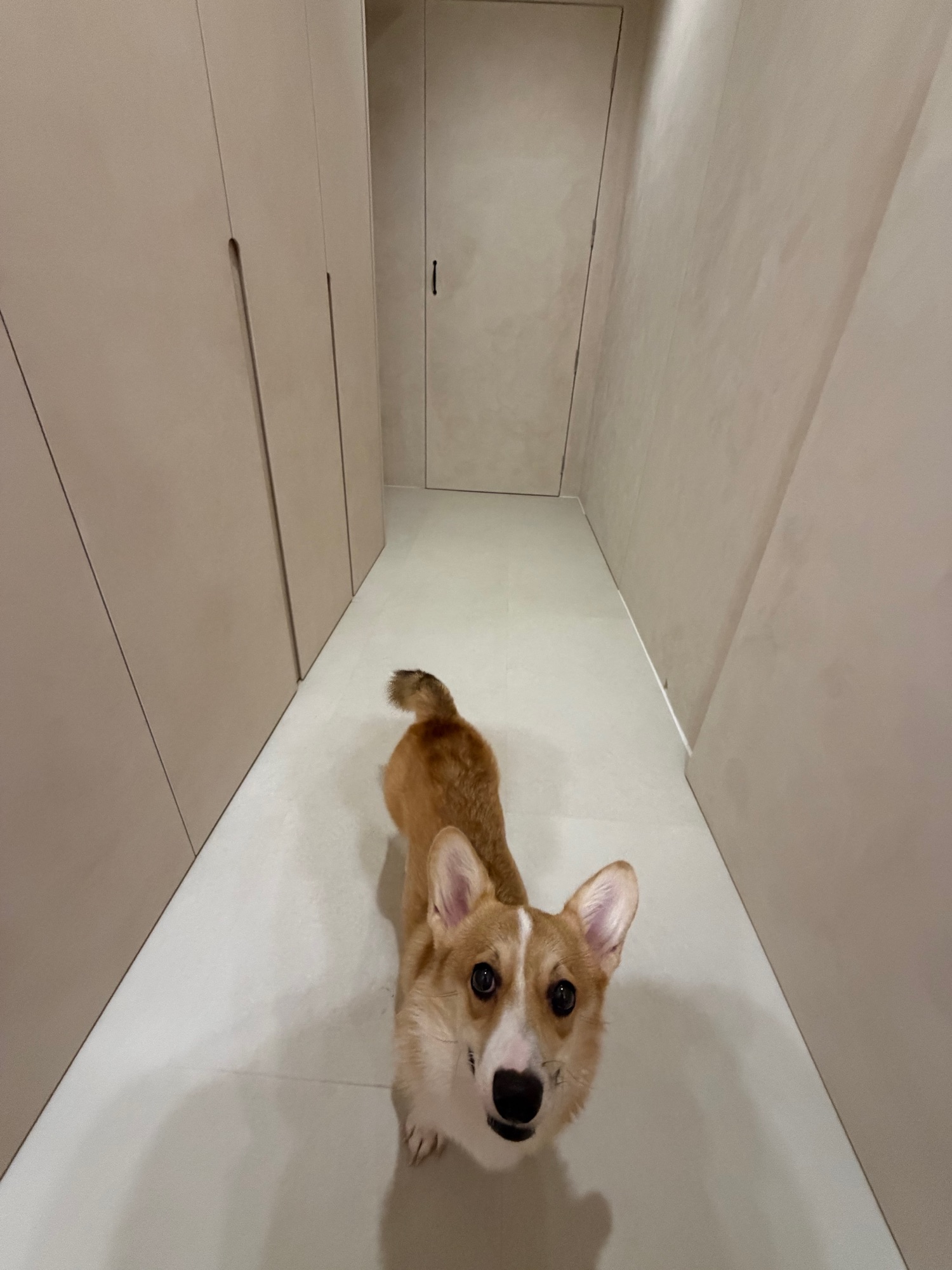 Tiny 3 Room BTO | Pure Smart Home | Wabi-Sabi | Full Limewash