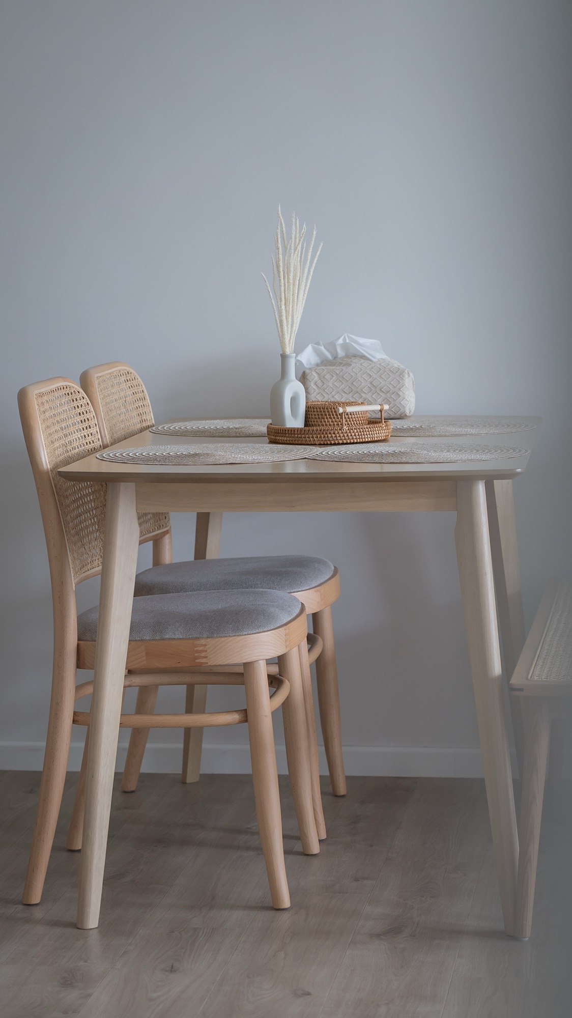 Welcome to our humble abode! Minimalist Scandinavian | 43K Reno🪴