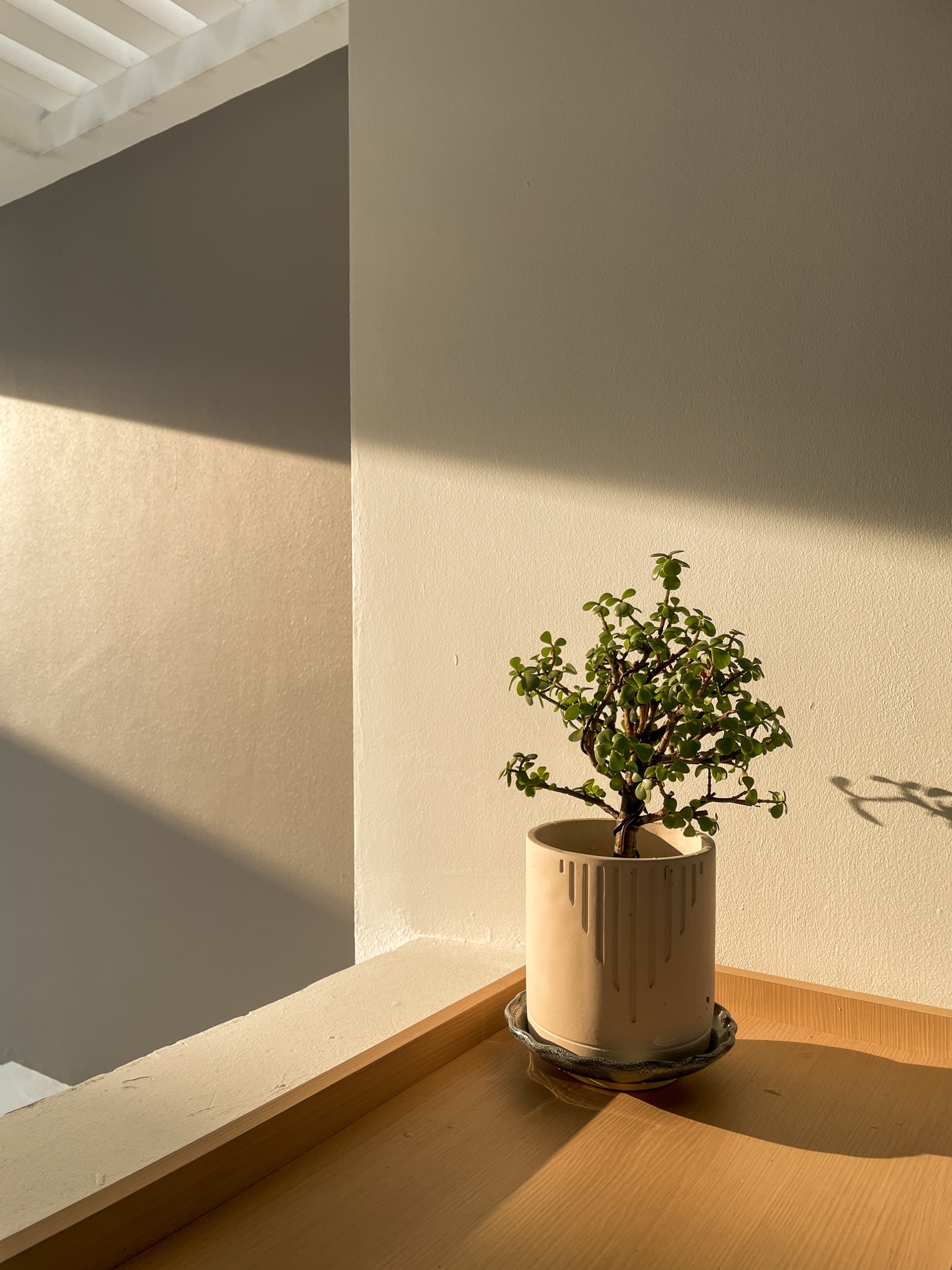 Decorating My Little Nooks