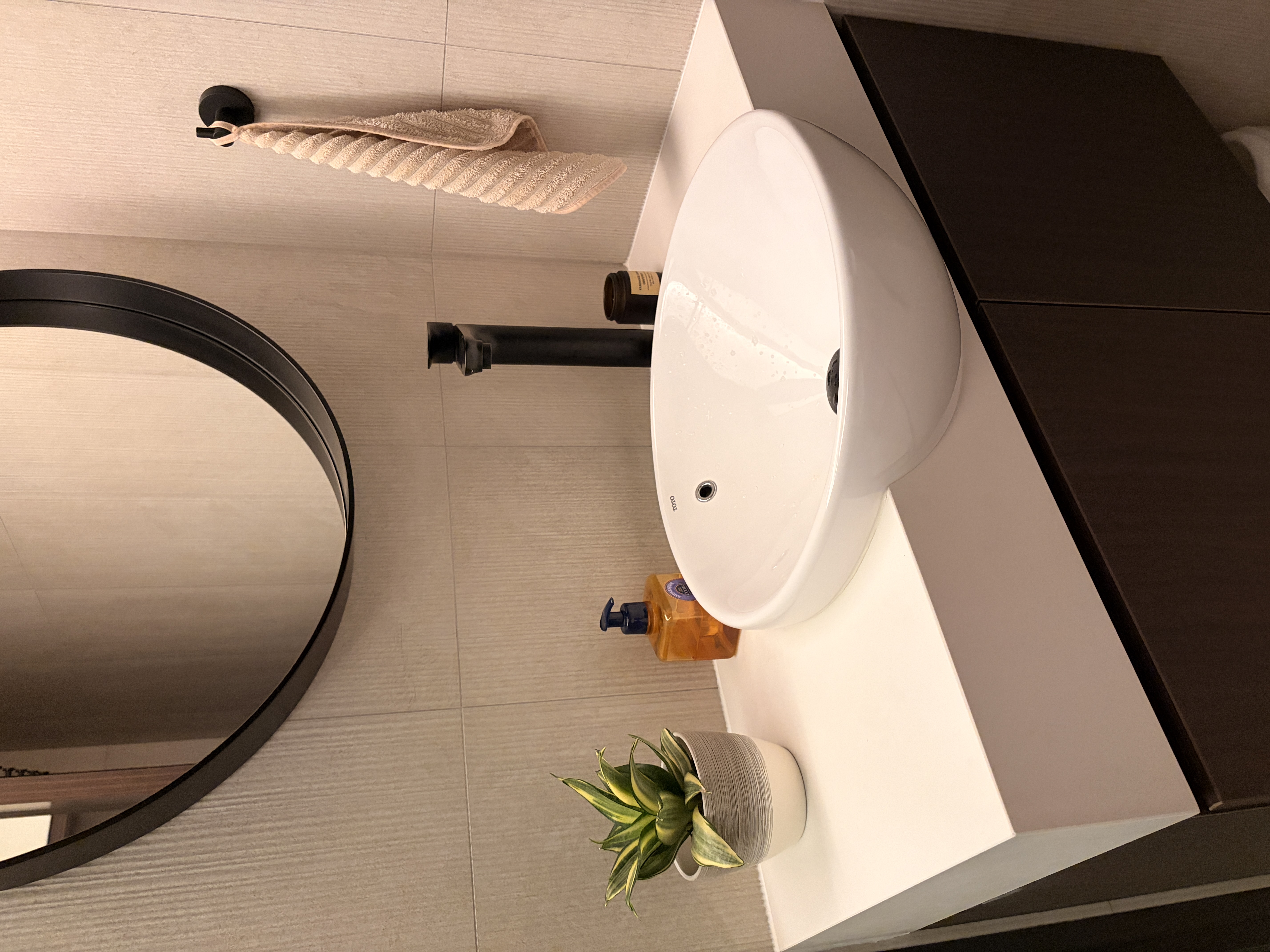 🌱 🍃 adding pops of green to our home