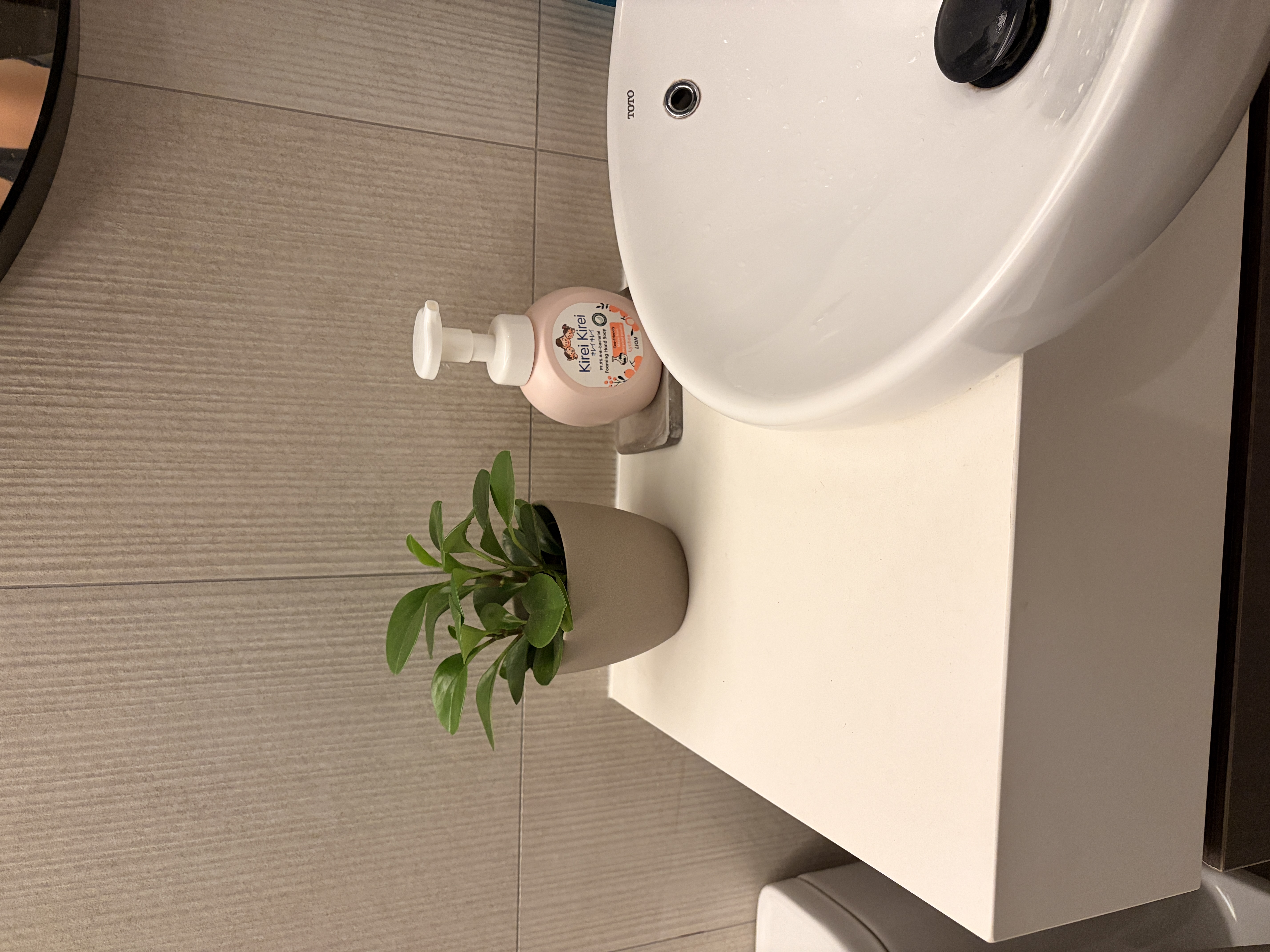 🌱 🍃 adding pops of green to our home