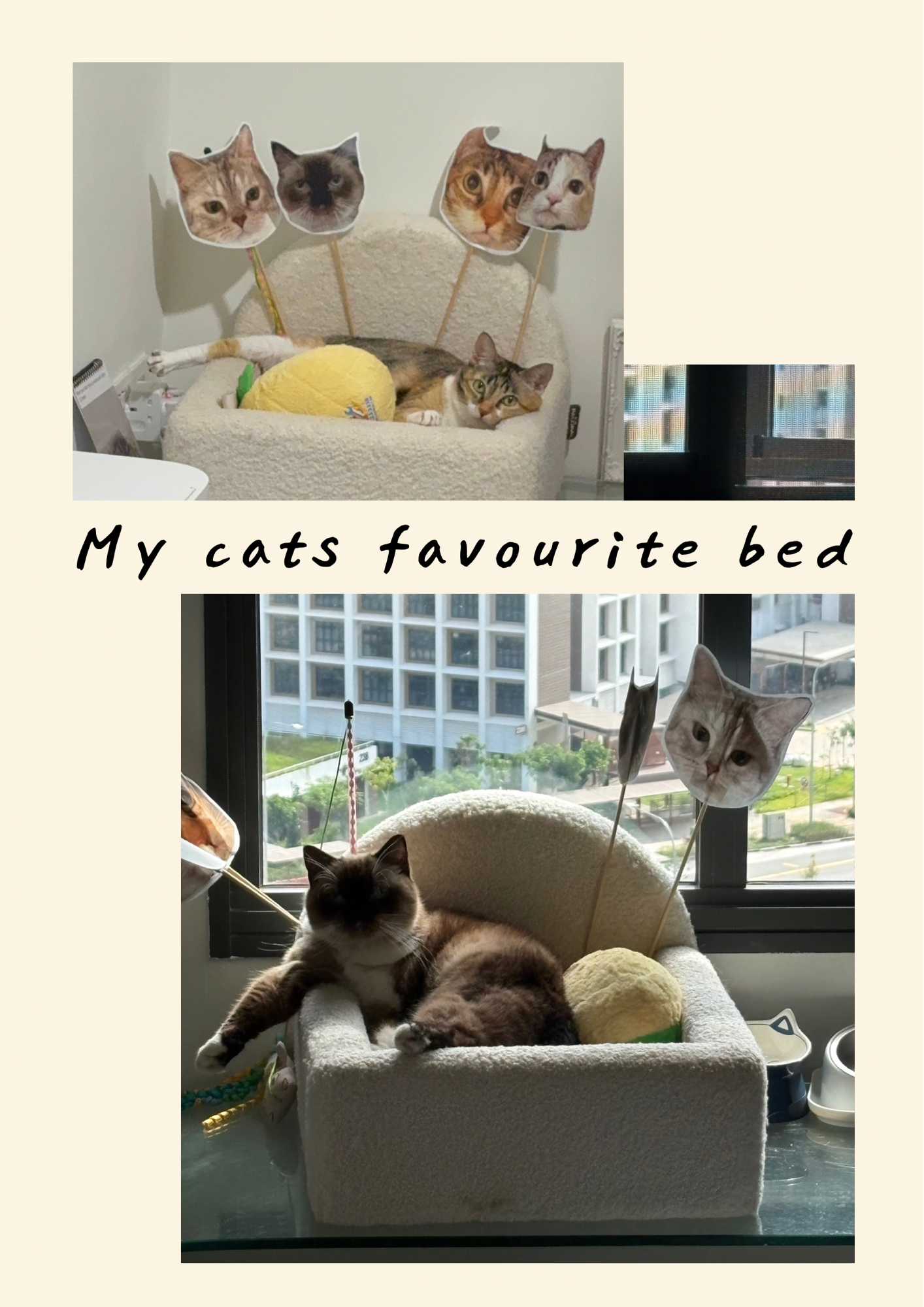 Things we love at our new house 🥰