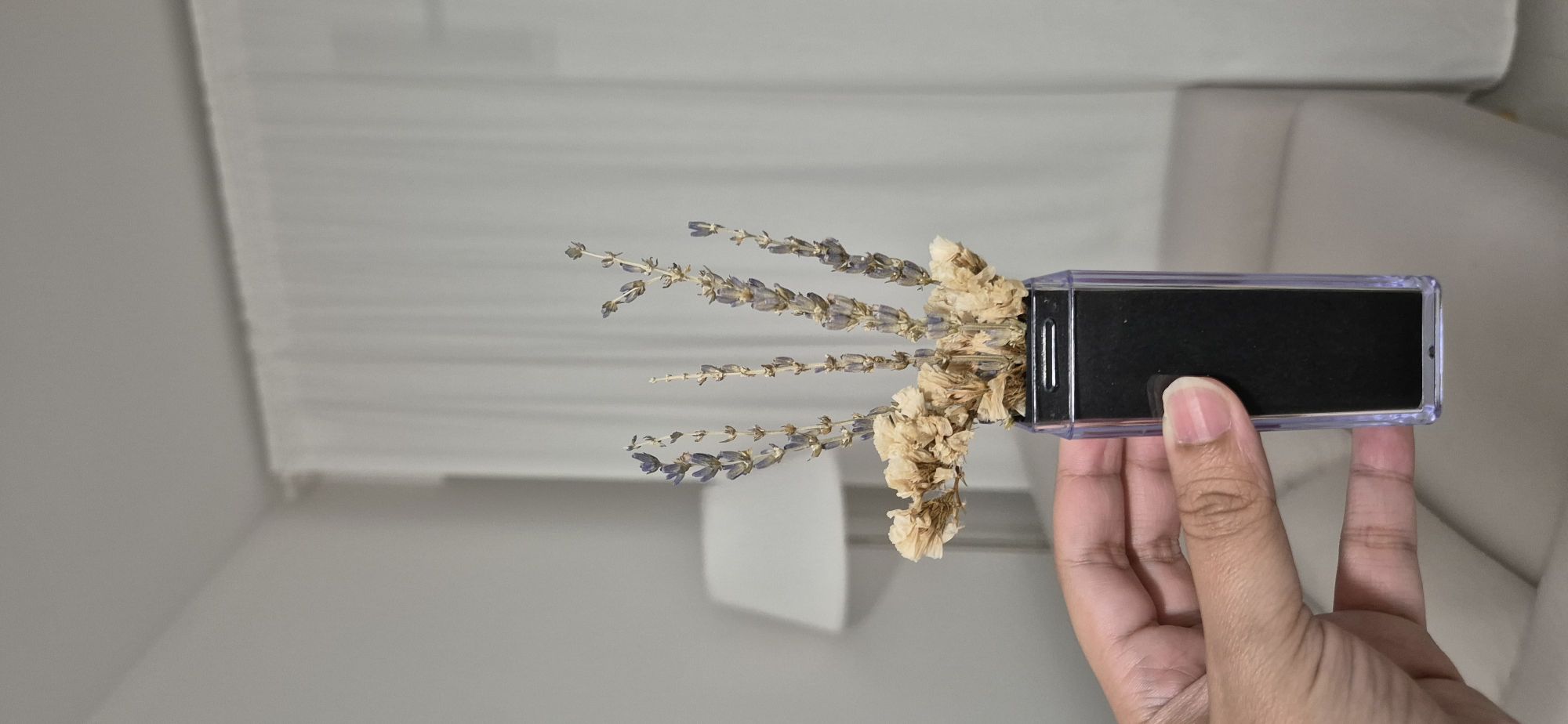 An elevation to the entrance!