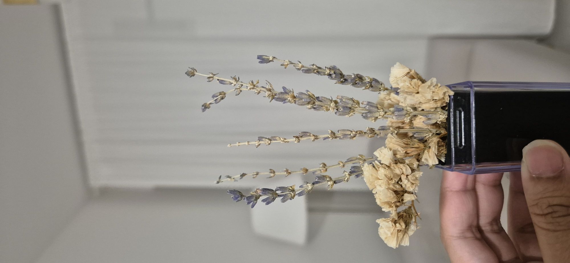 An elevation to the entrance!