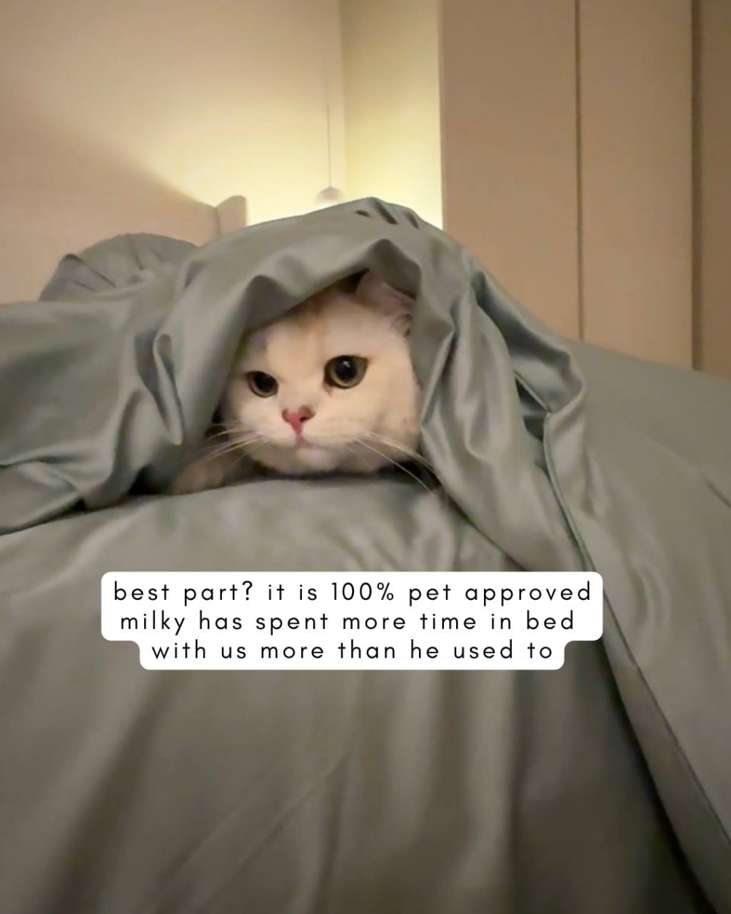 cooler nights, softer moments with our new favorite sheets ☁️🛌🥱