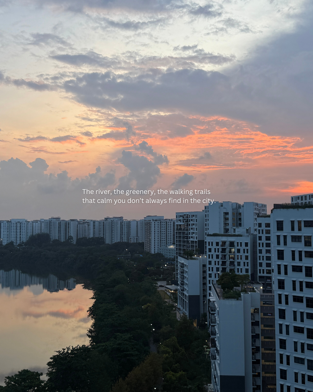 The view that changed how home feels