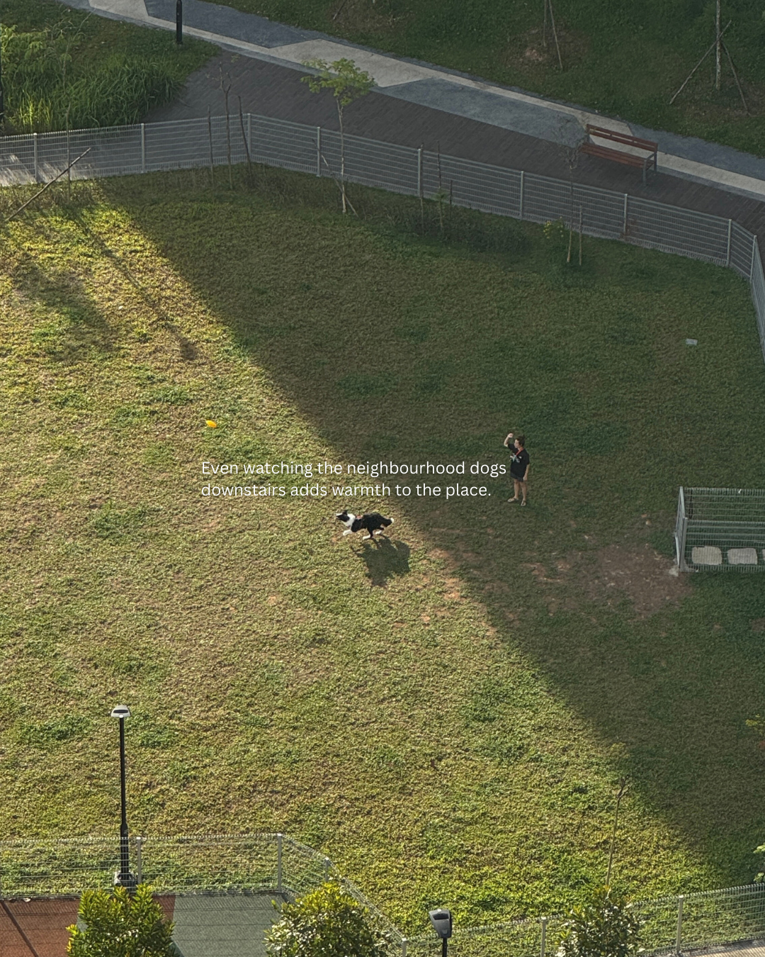 The view that changed how home feels