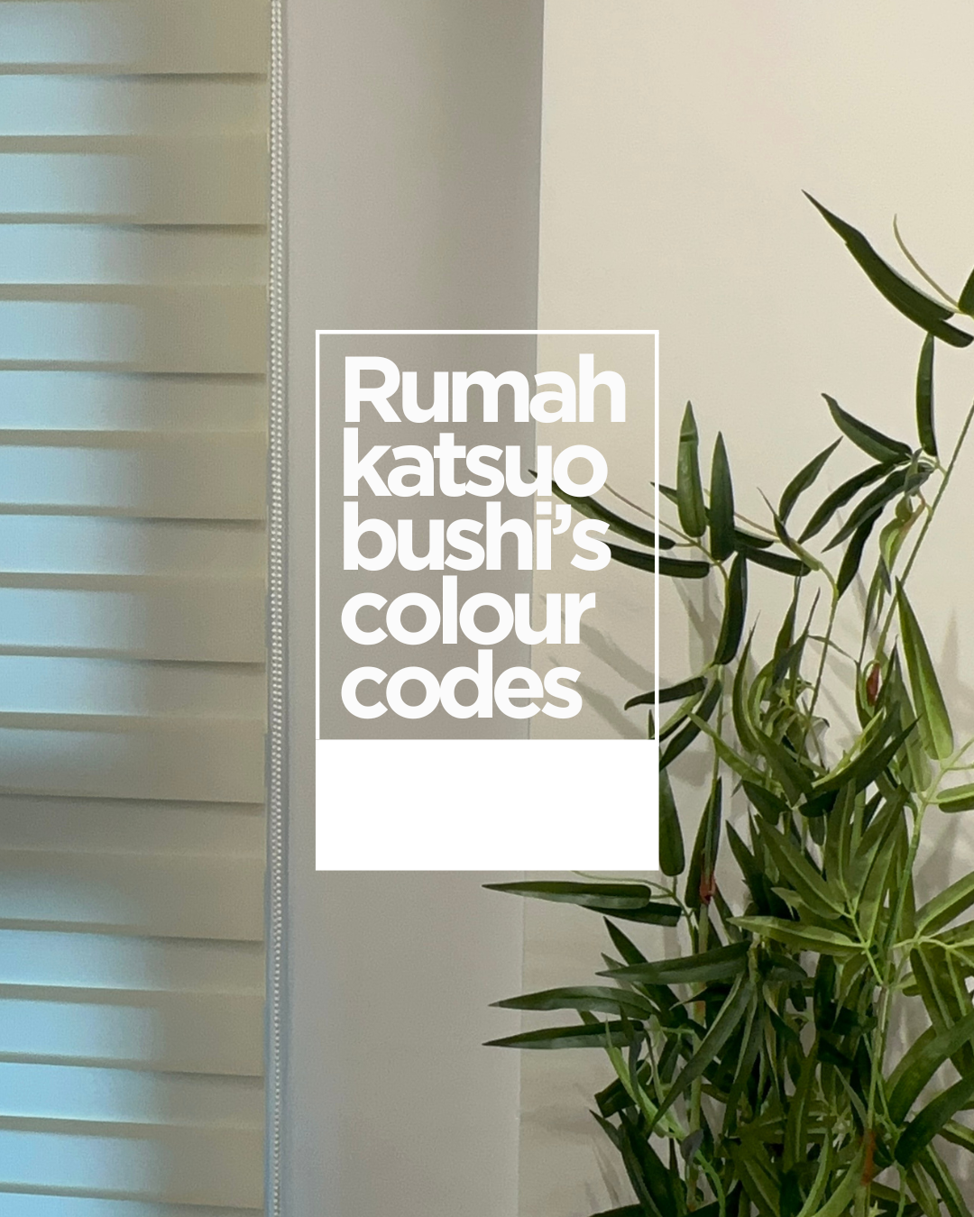 #19-—-colour-codes-🫟