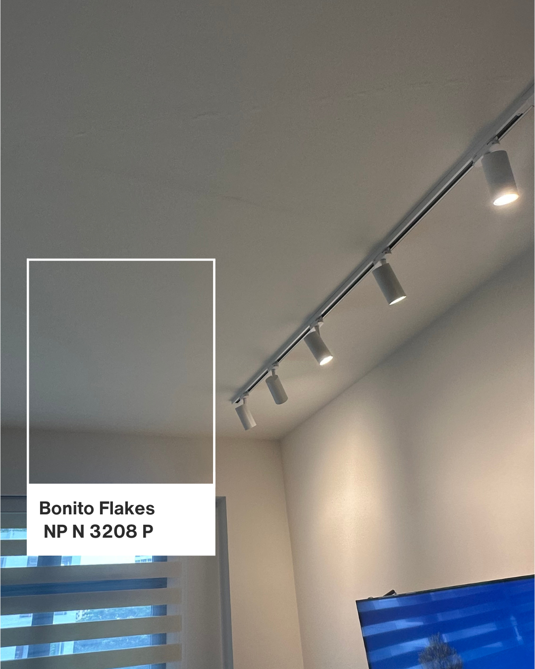 #19 — colour codes 🫟