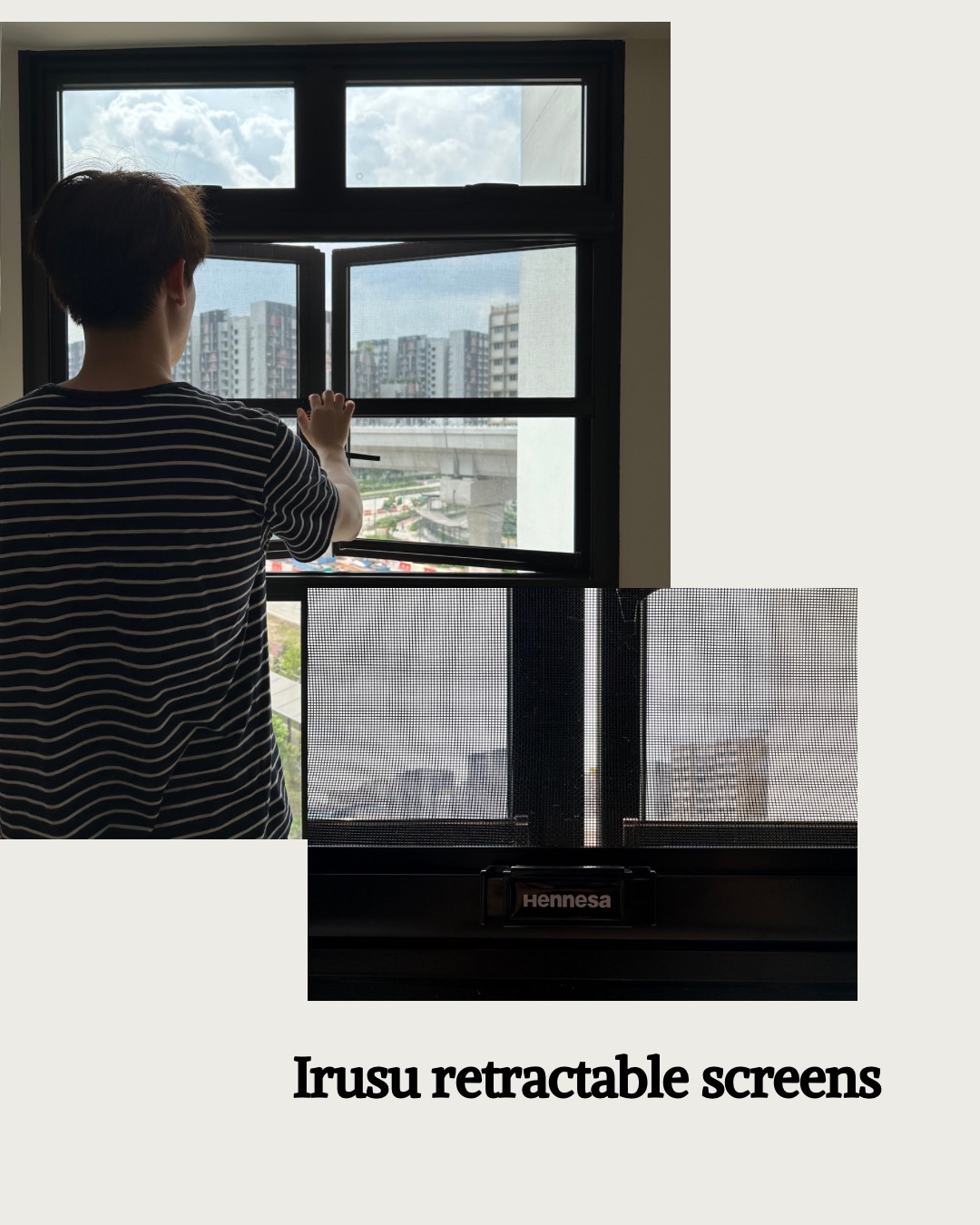 Rating our Insect Meshes