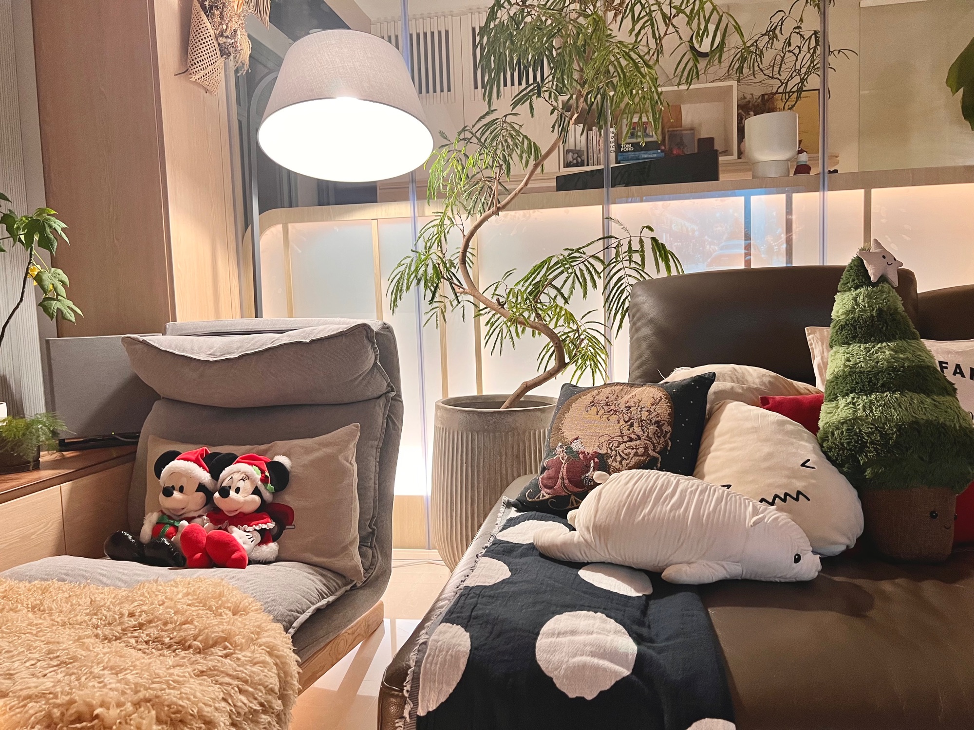 A Cozy Christmas Update From Our Home 🎄✨