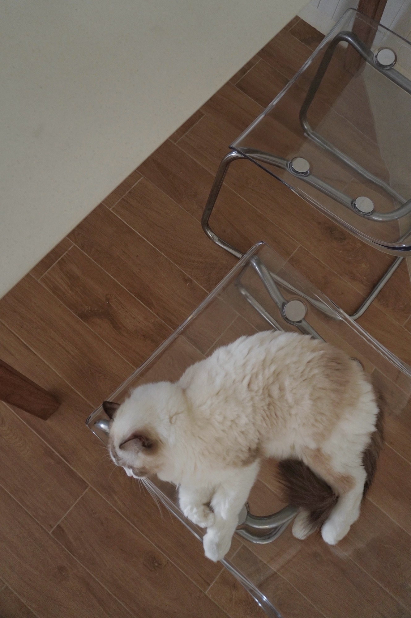 Tips That Make Your Home Feel Larger (Even If It’s Not!)