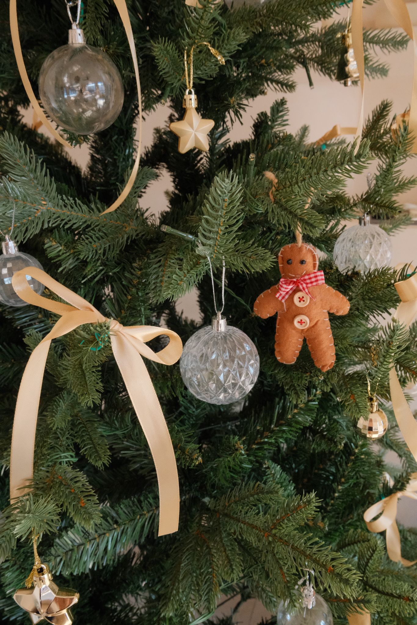 First Christmas in Our Own Home