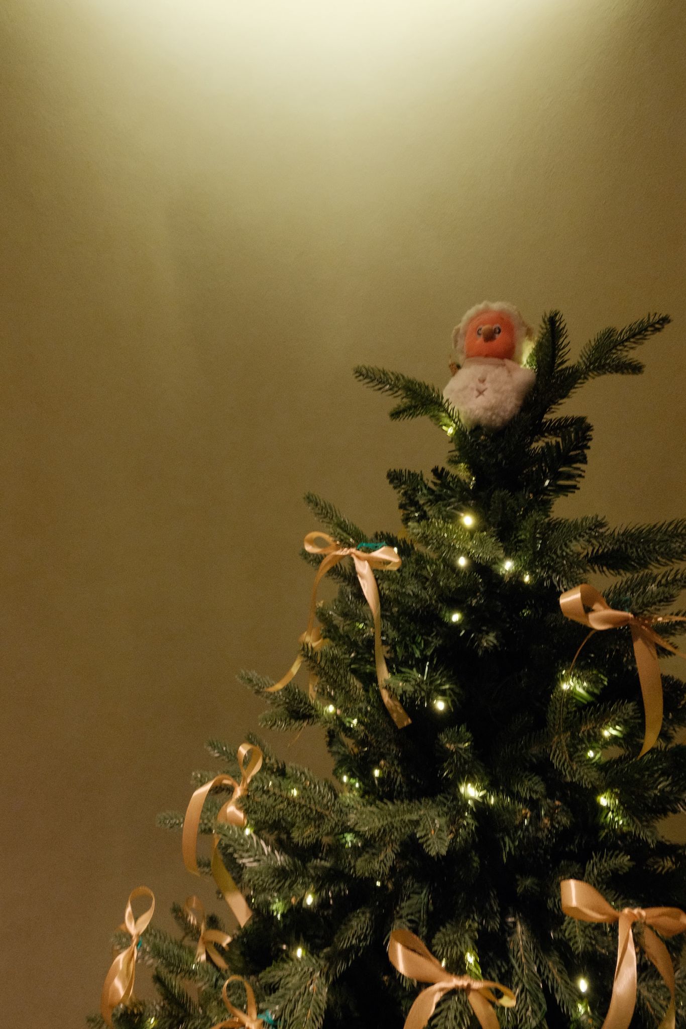 First Christmas in Our Own Home