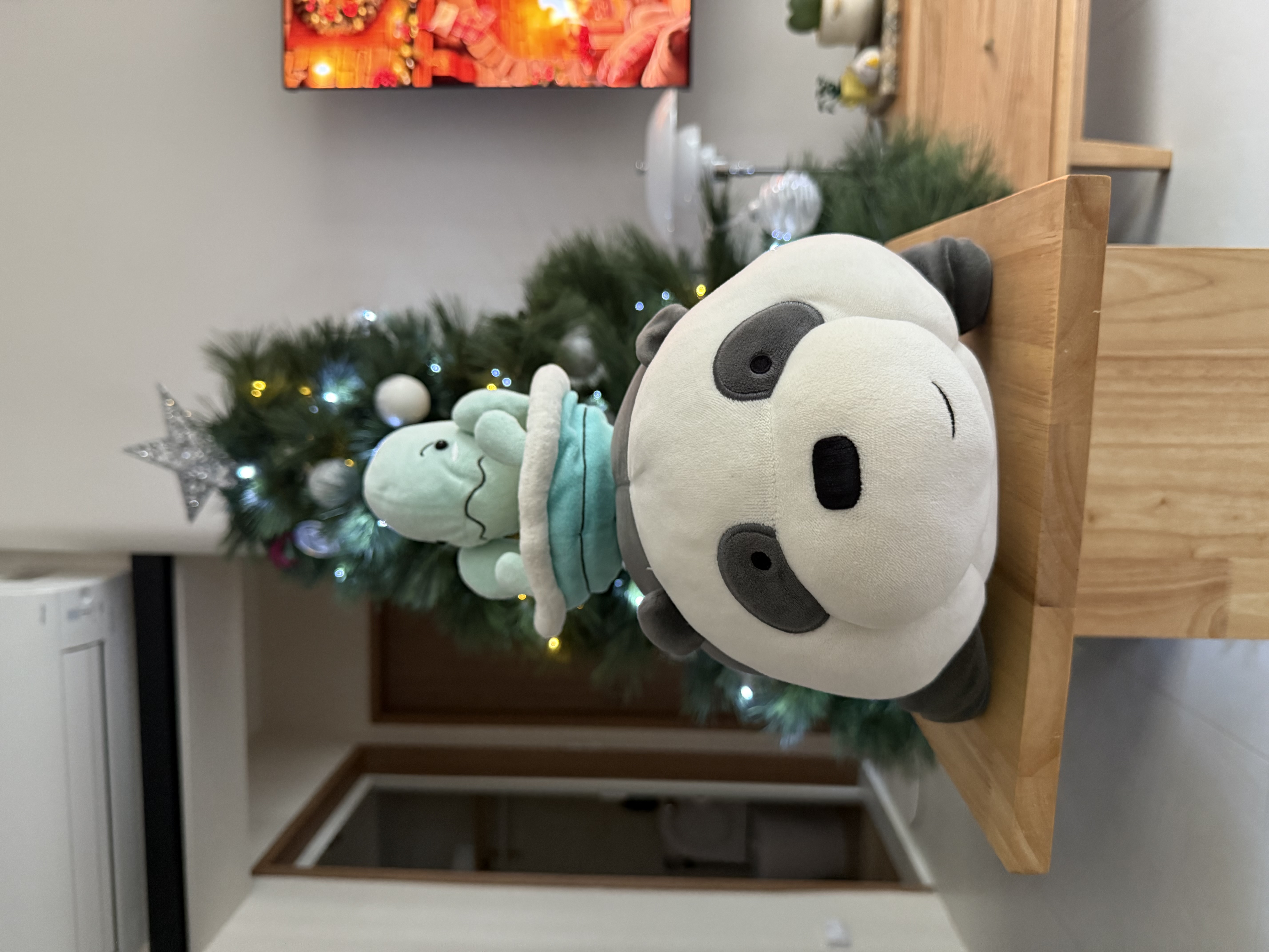 Our-first-Christmas-tree-🌲-