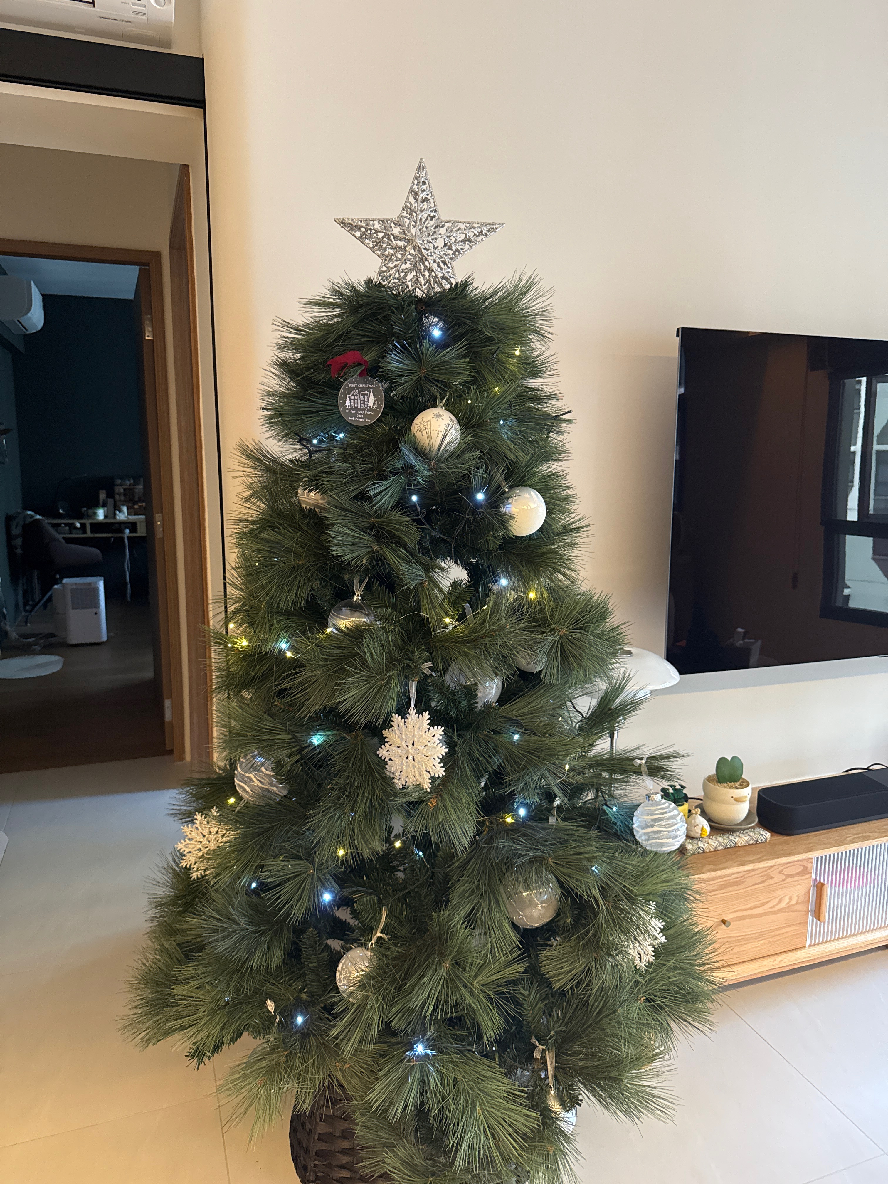 Our first Christmas tree 🌲