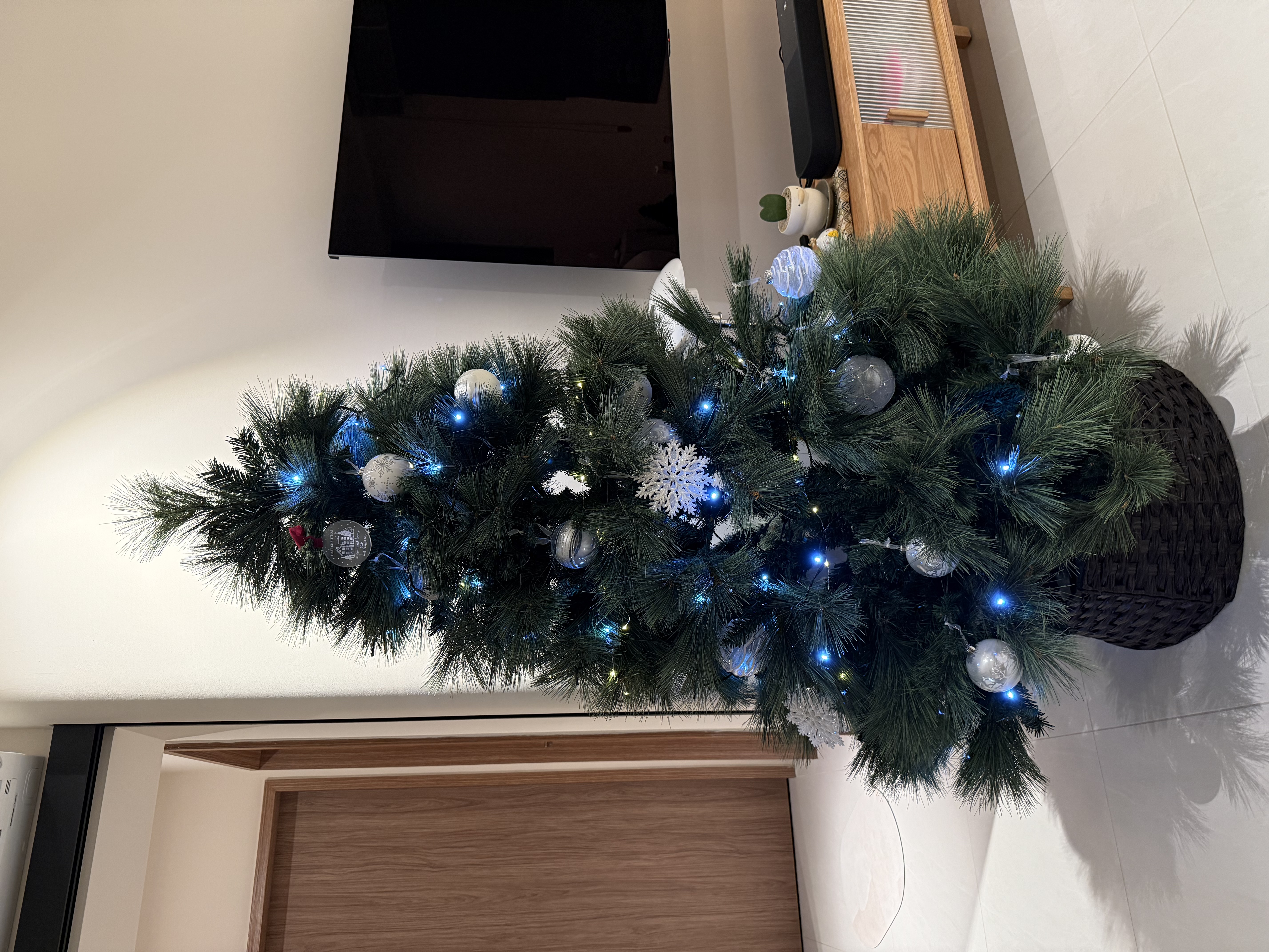 Our first Christmas tree 🌲