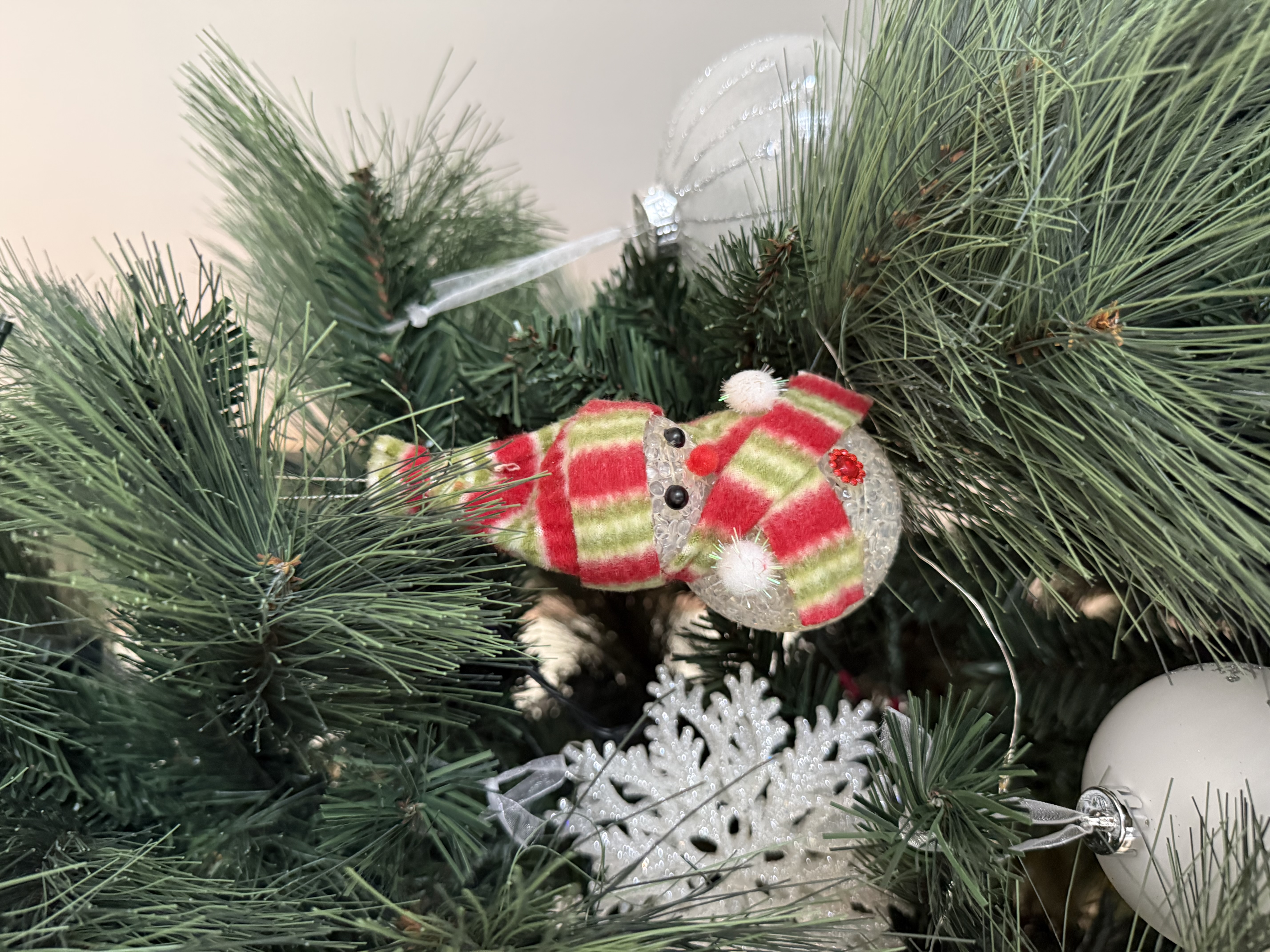 Our first Christmas tree 🌲