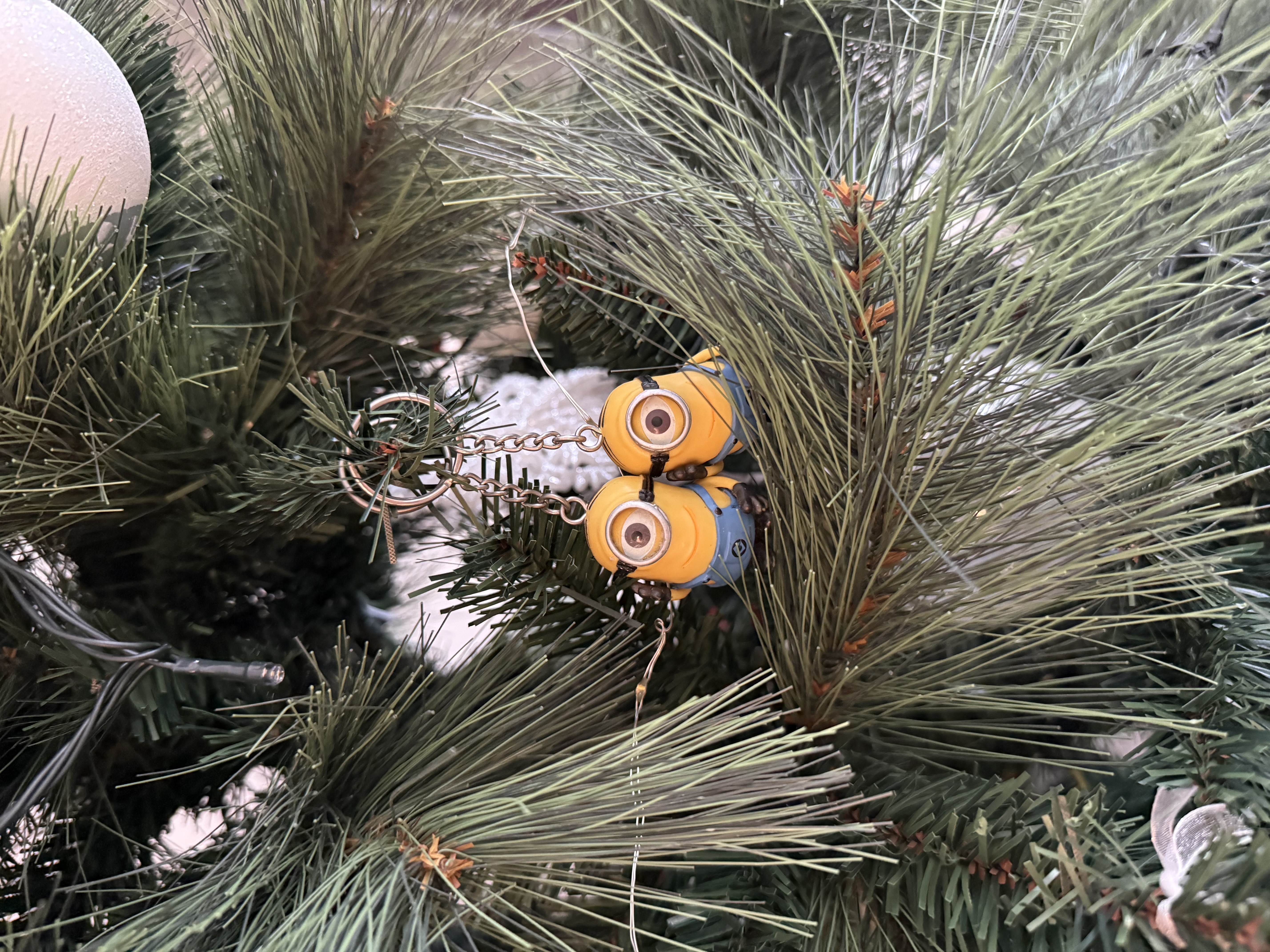 Our first Christmas tree 🌲