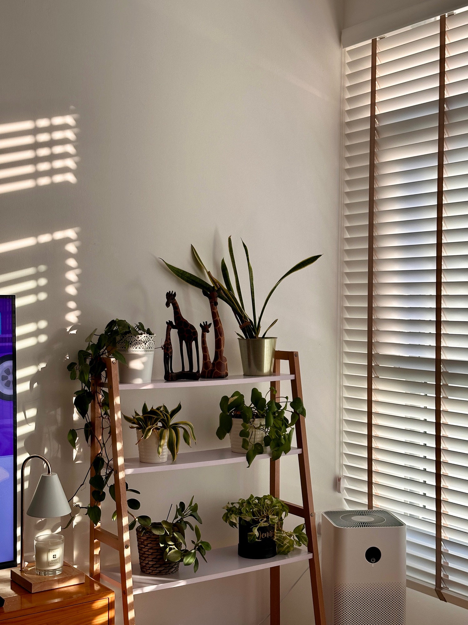 A-sneak-peek-into-our-favourite-corner-of-our-new-home.-