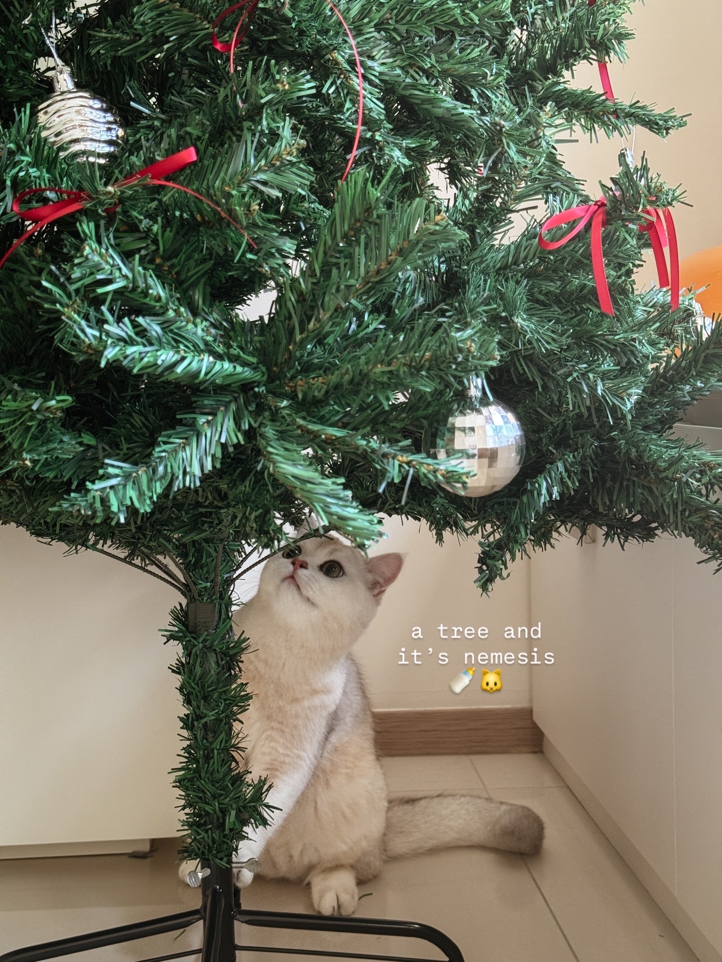 A little Christmas Spirit in Creme Haus ☁️