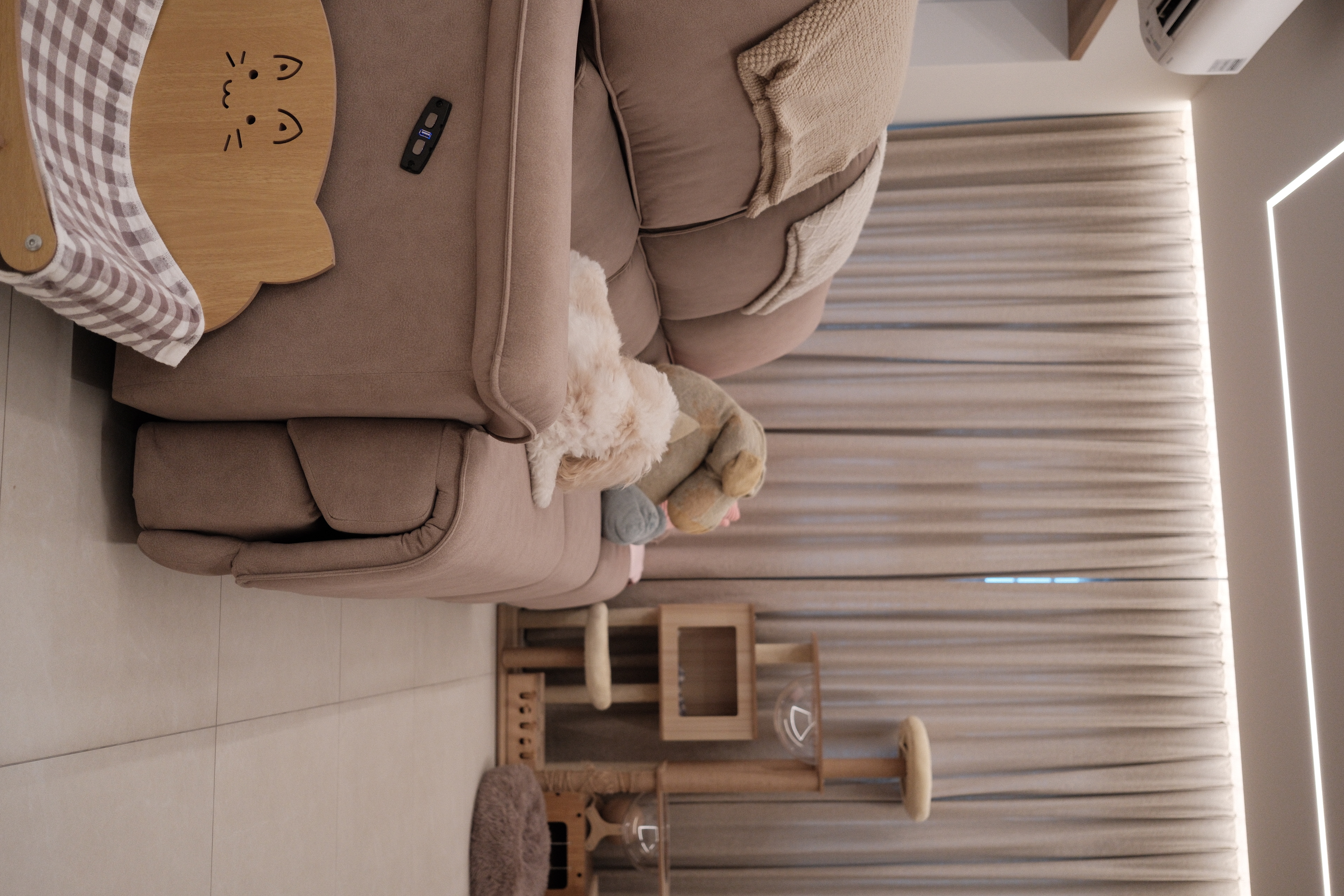 how we designed our living room to work for dogs, cats and people